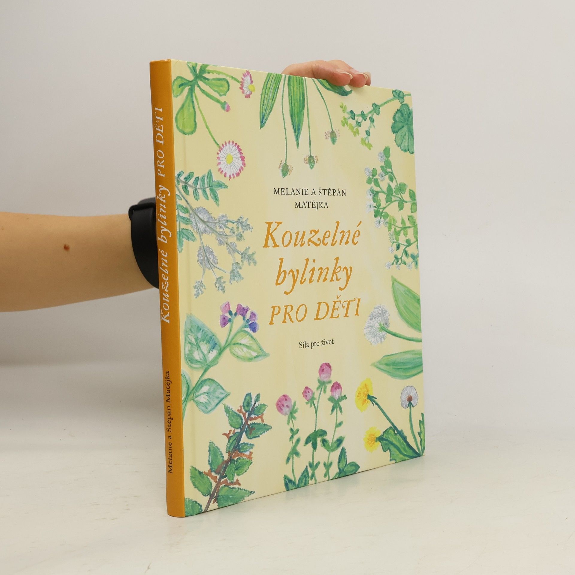 Kouzelné bylinky pro děti