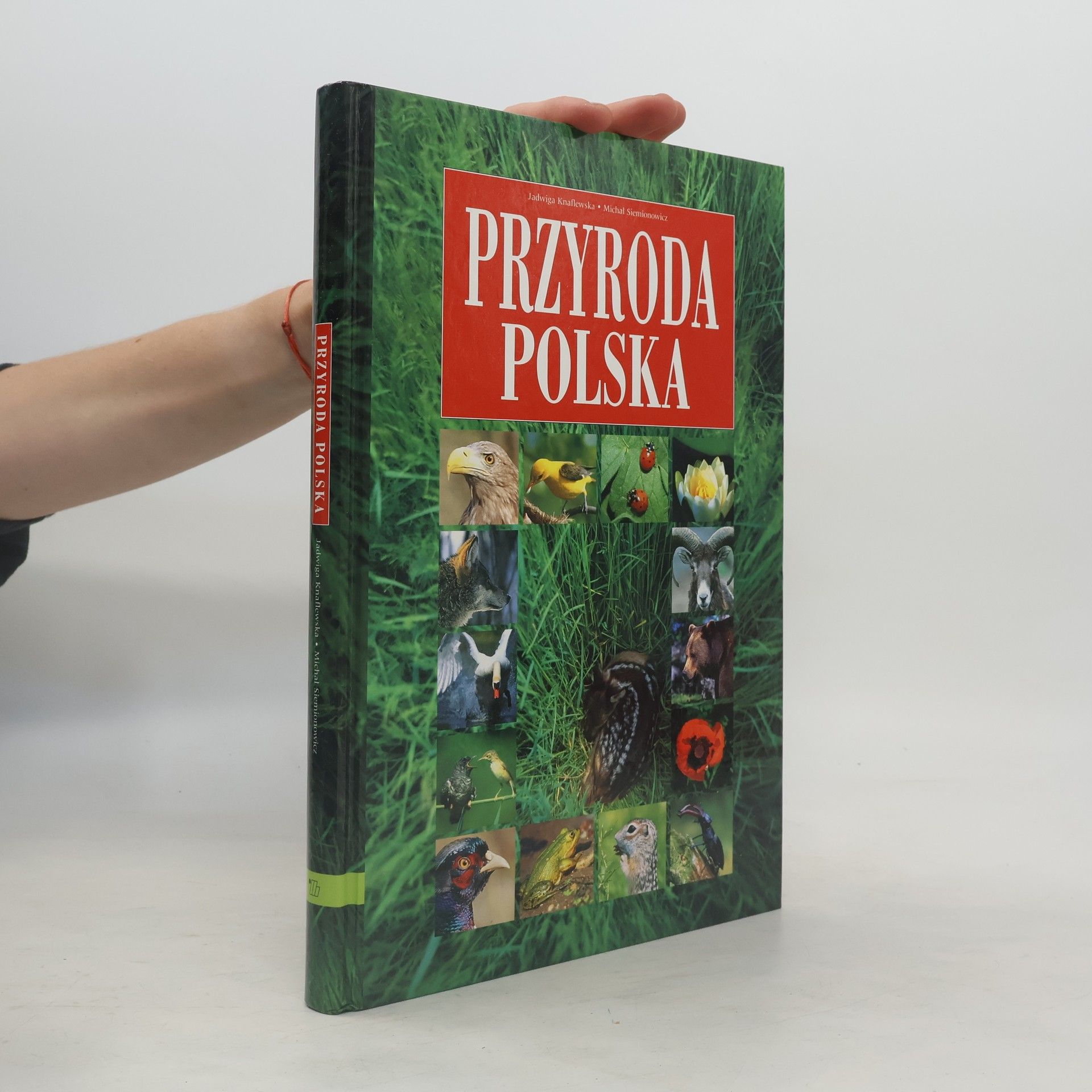 Jadwiga Knaflewska Przyroda polska