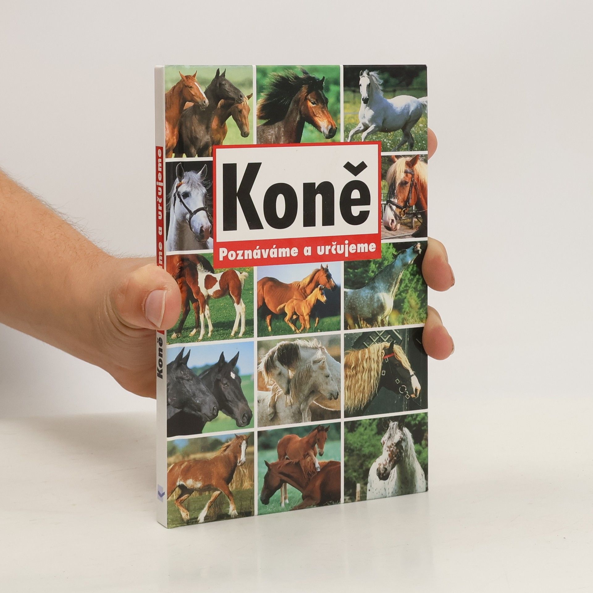 Autorenkollektiv Koně - Poznáváme a určujeme