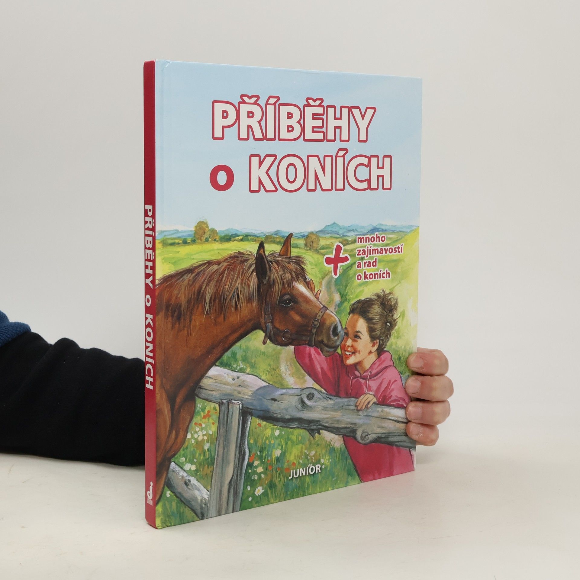 Collectif d'auteurs Příběhy o koních