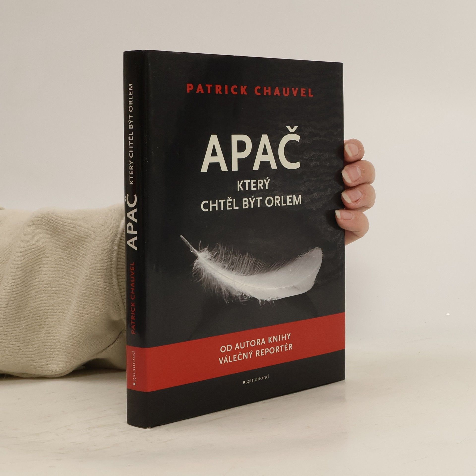 Patrick Chauvel Apač, který chtěl být orlem