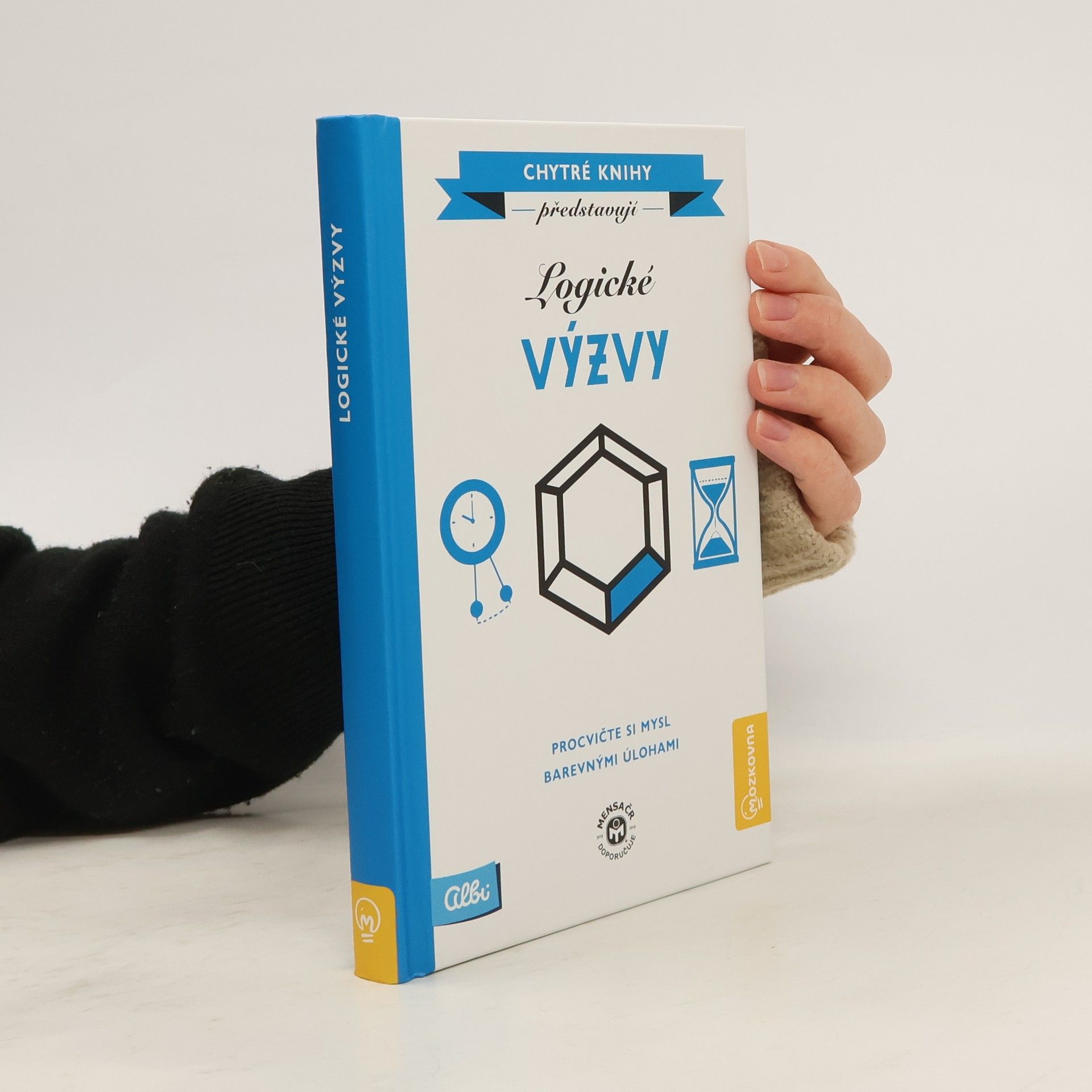 Collectif d'auteurs Logické výzvy