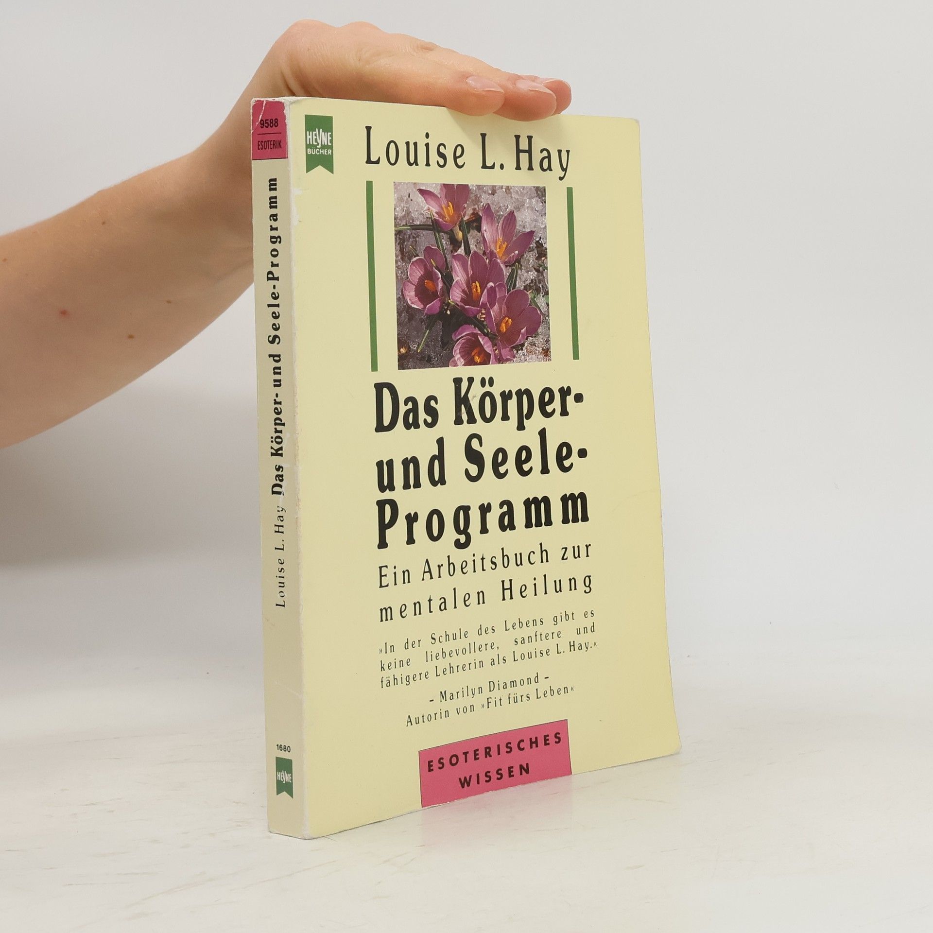 Lousie L. Hay Das Körper- und Seele-Programm