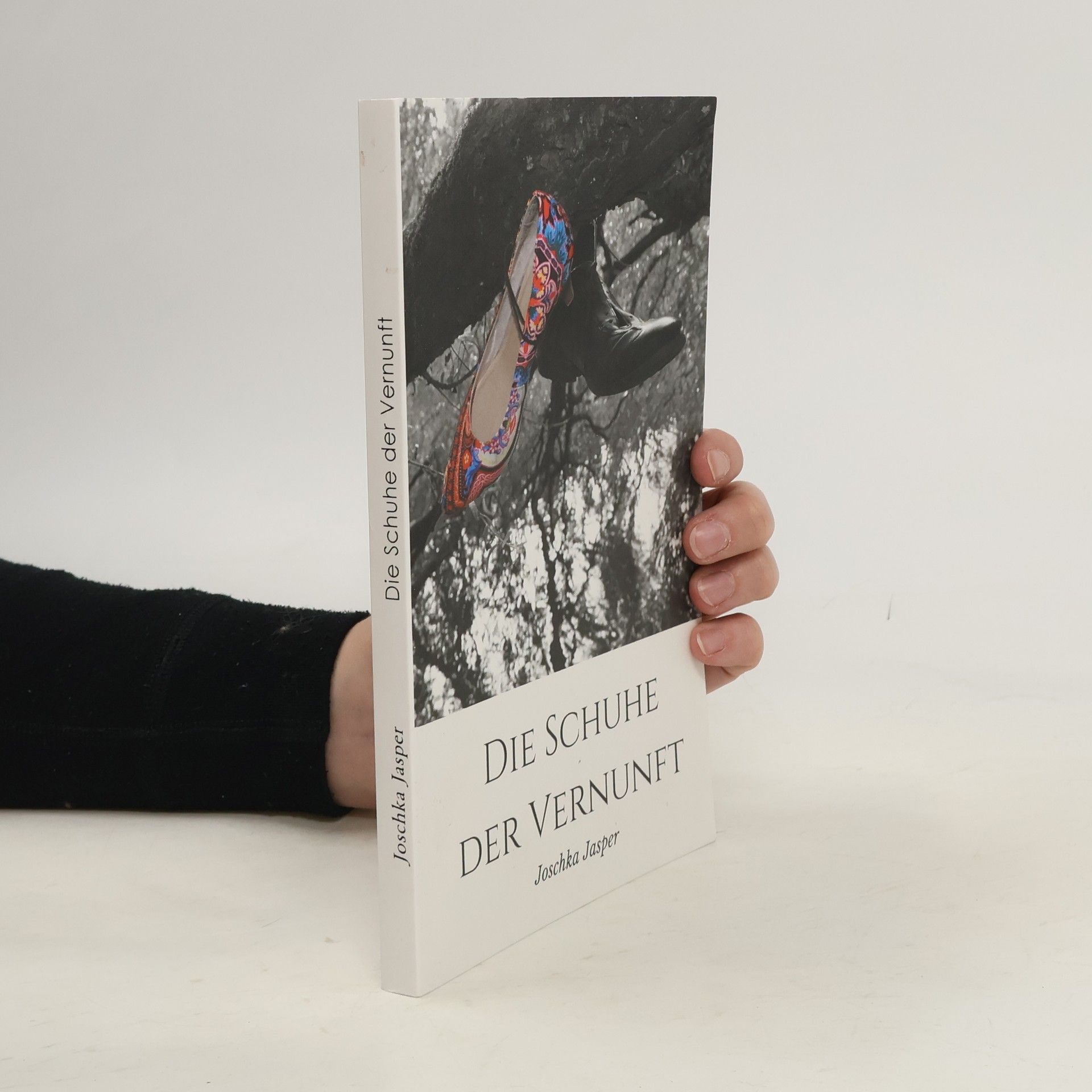 Joschka Jasper Die Schuhe der Vernunft