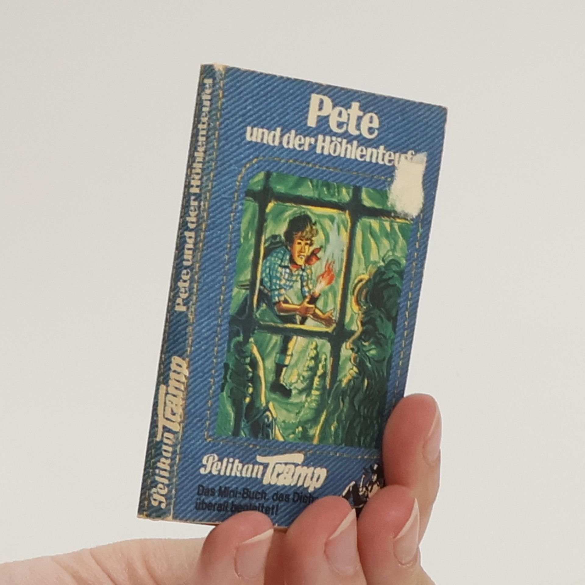 Collectif d'auteurs Pete und der Höhlenteu