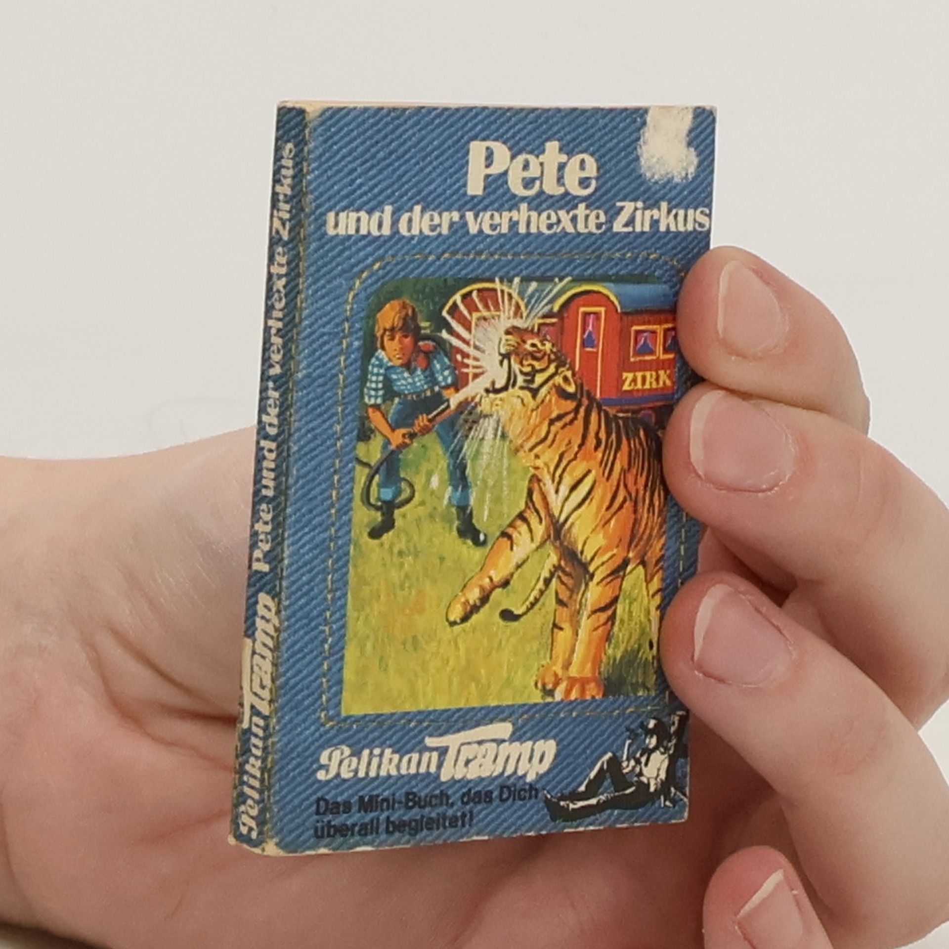 Joachim Heinrich Renneau Pete und der verhexte Zirkus