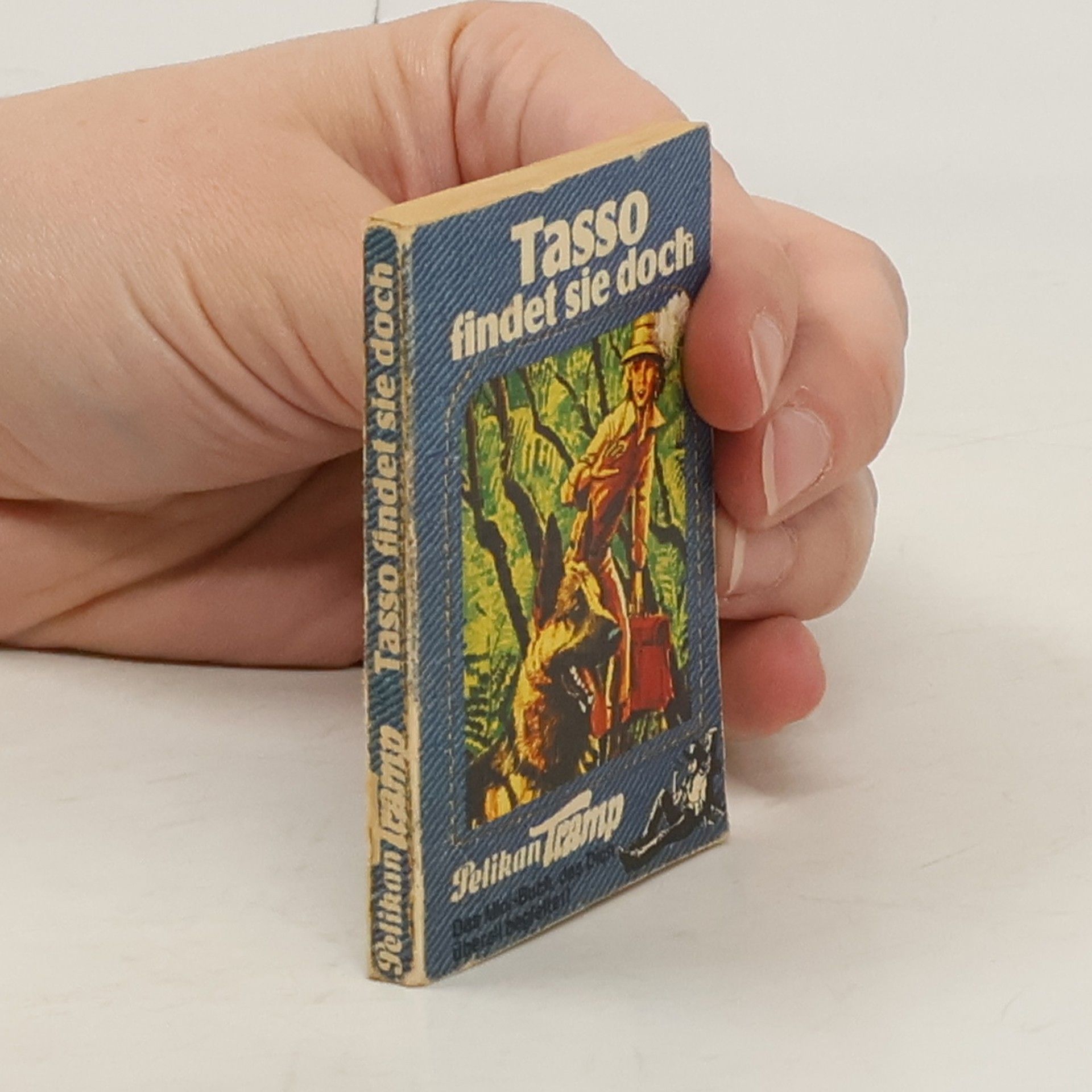 Joachim Heinrich Rennau Tasso findet sie doch