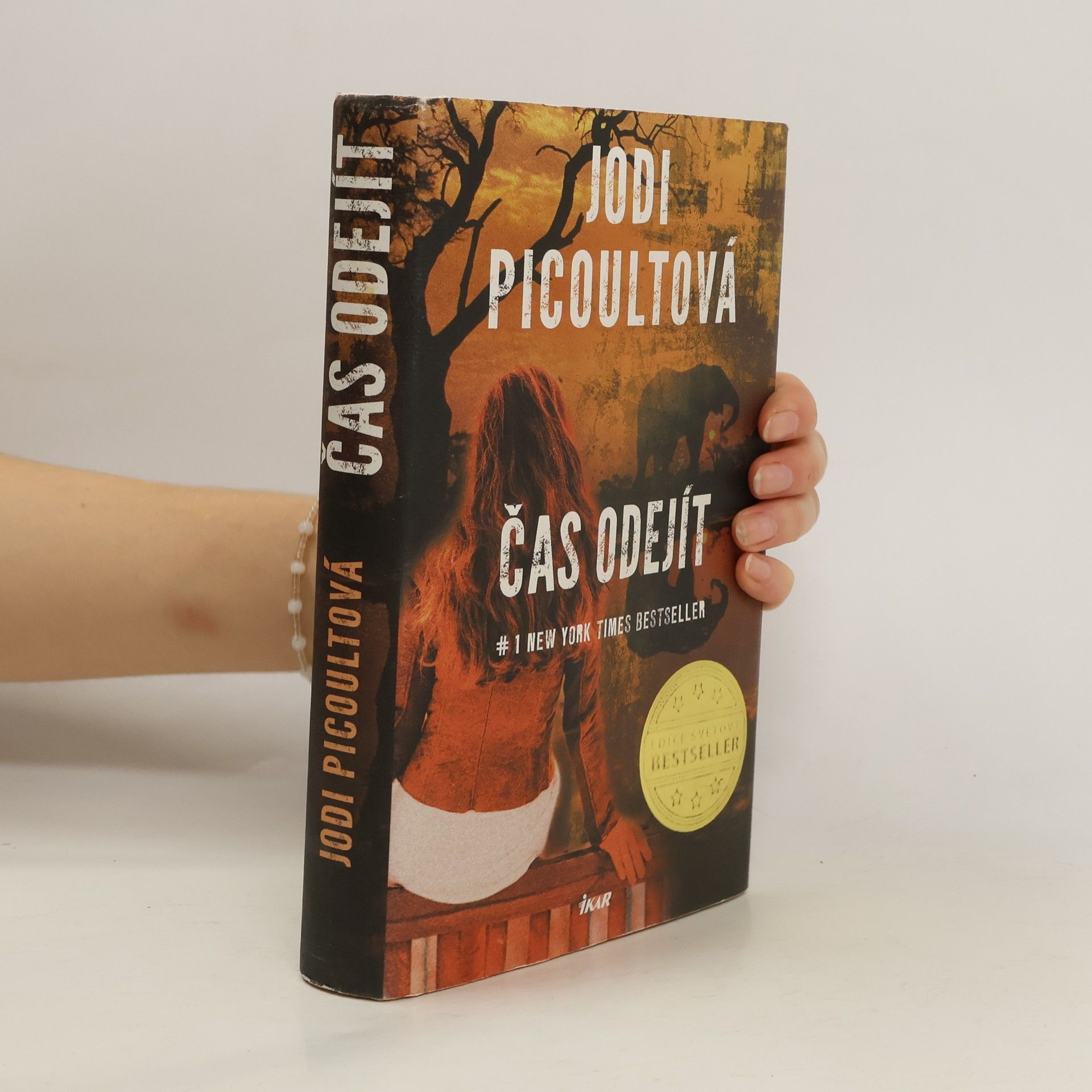 Jodi Picoult Čas odejít