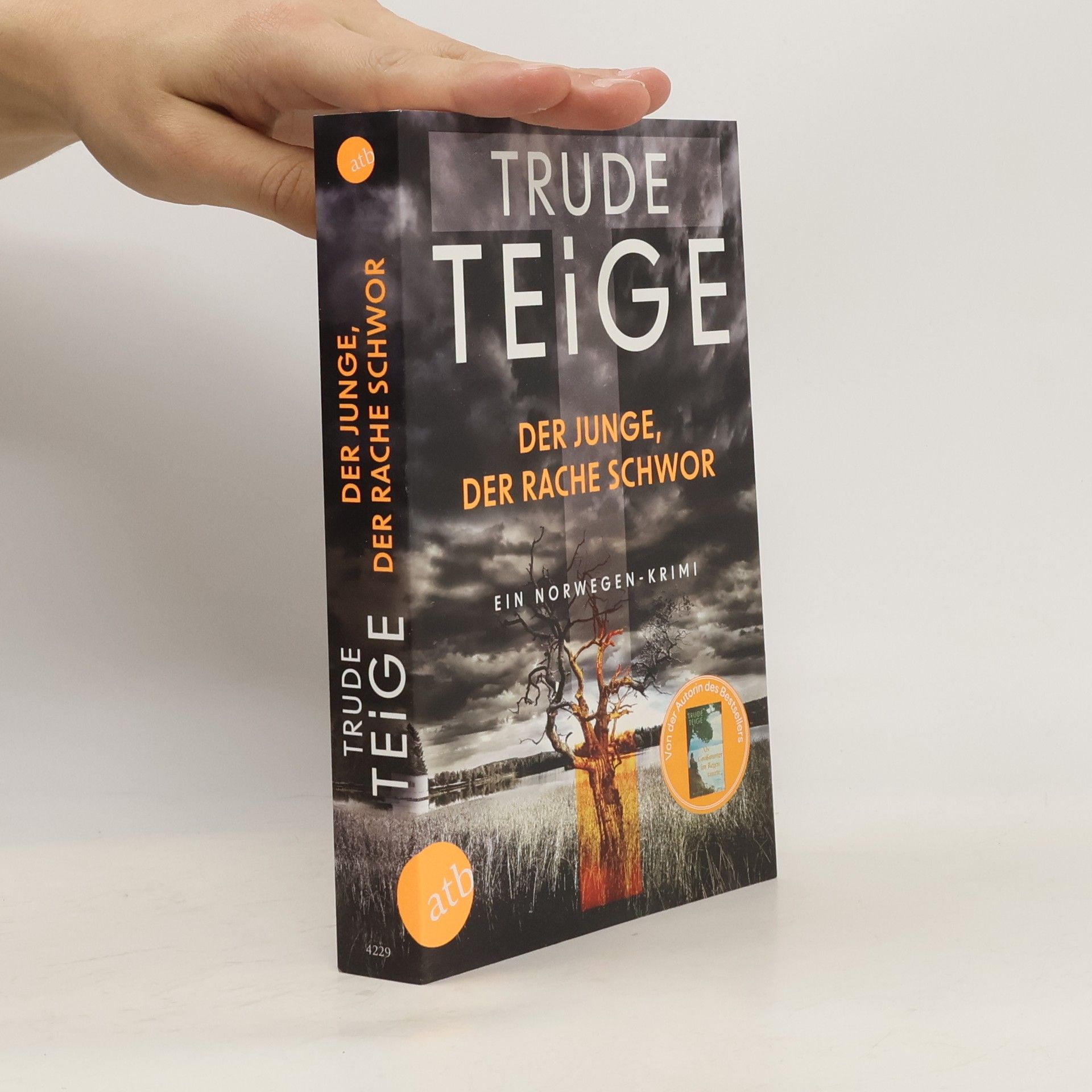 Trude Teige Der Junge, der Rache schwor