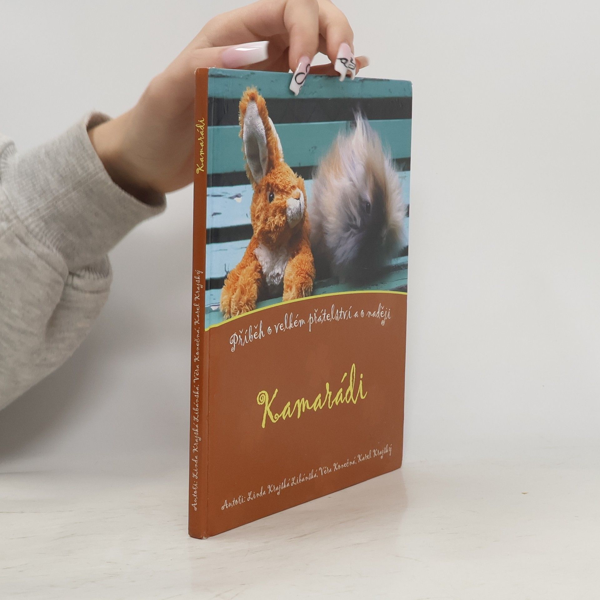 Kamarádi: příběh o velkém přátelství a o naději