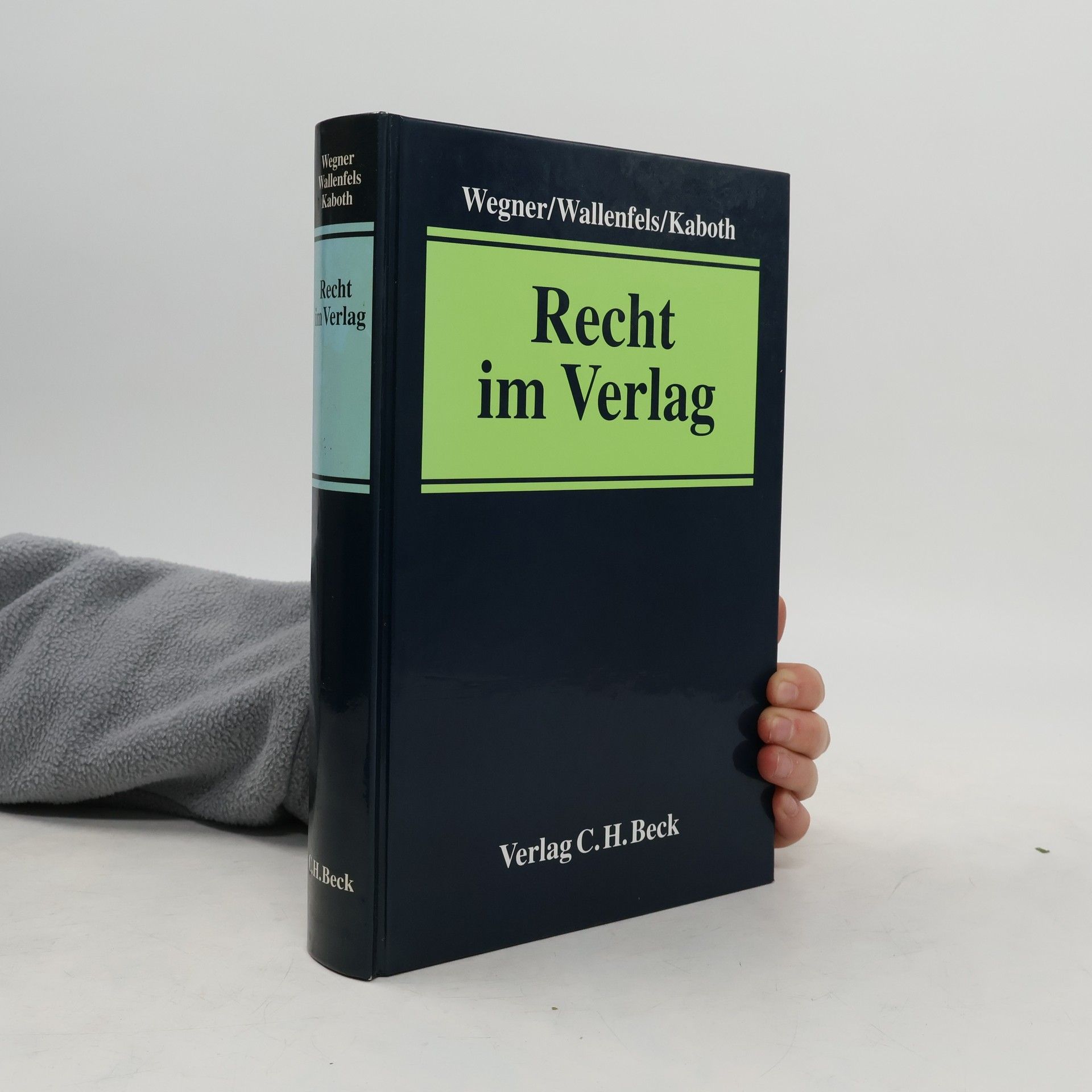 Konstantin Wegner Recht im Verlag