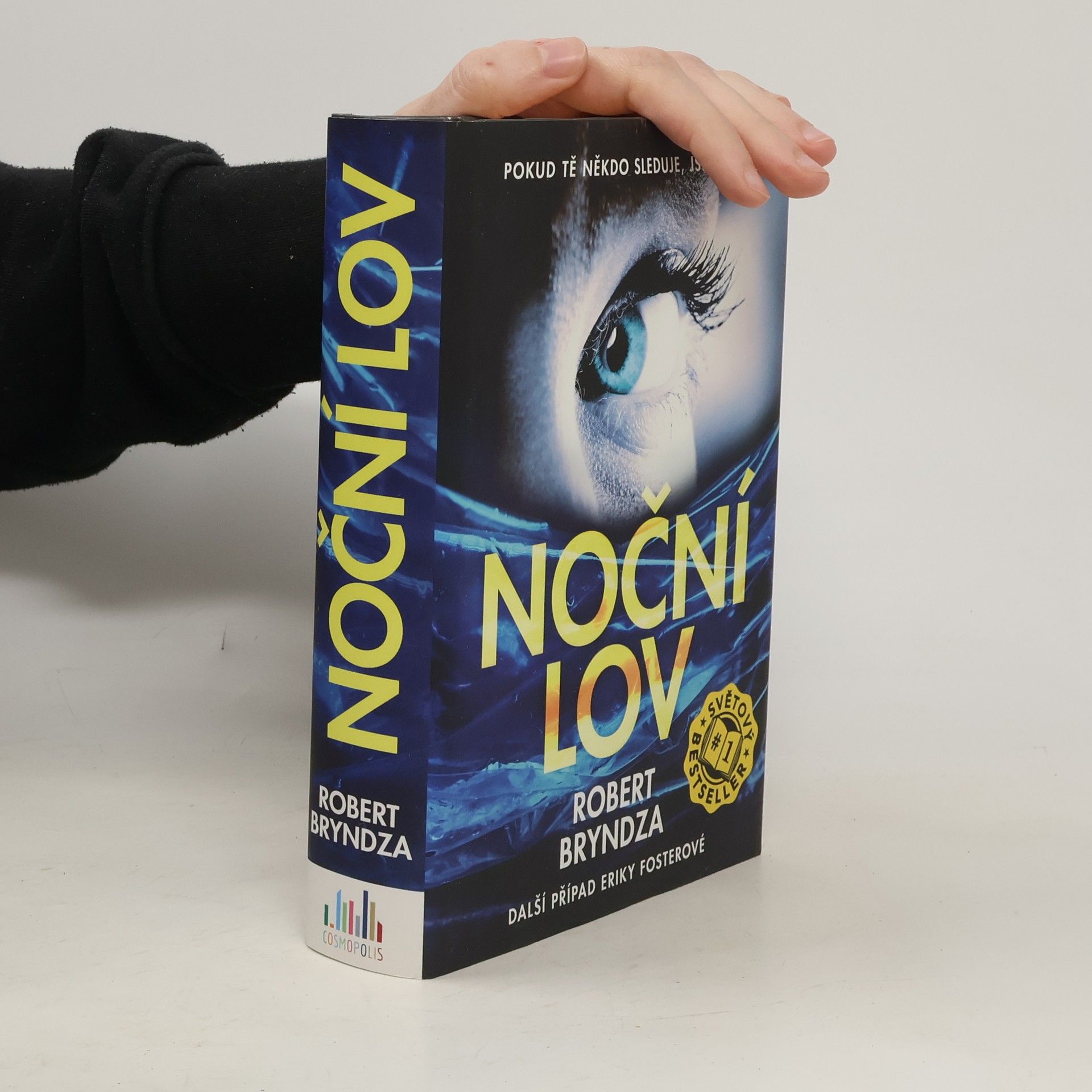 Robert Bryndza Noční lov