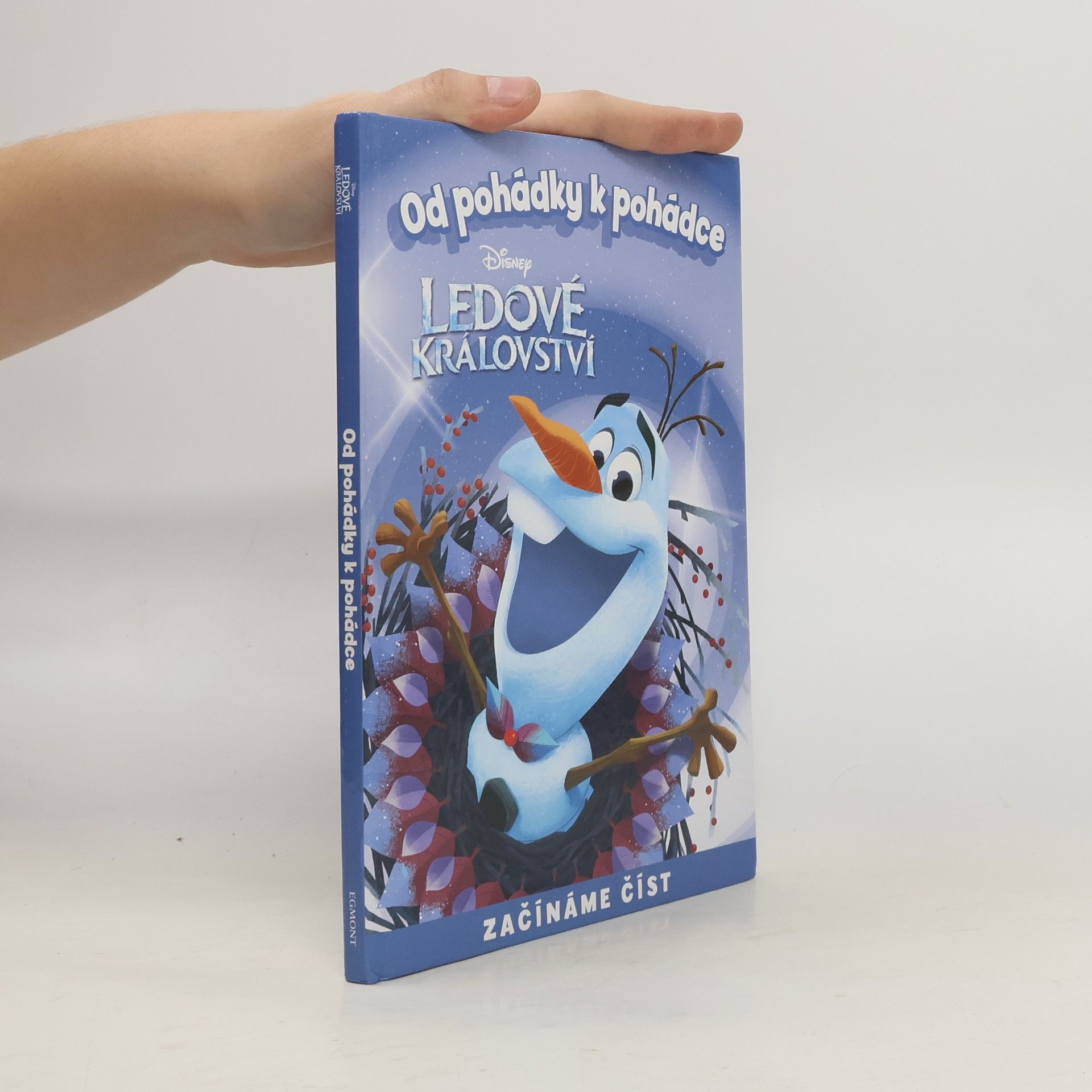 Collectif d'auteurs Od pohádky k pohádce. Ledové království