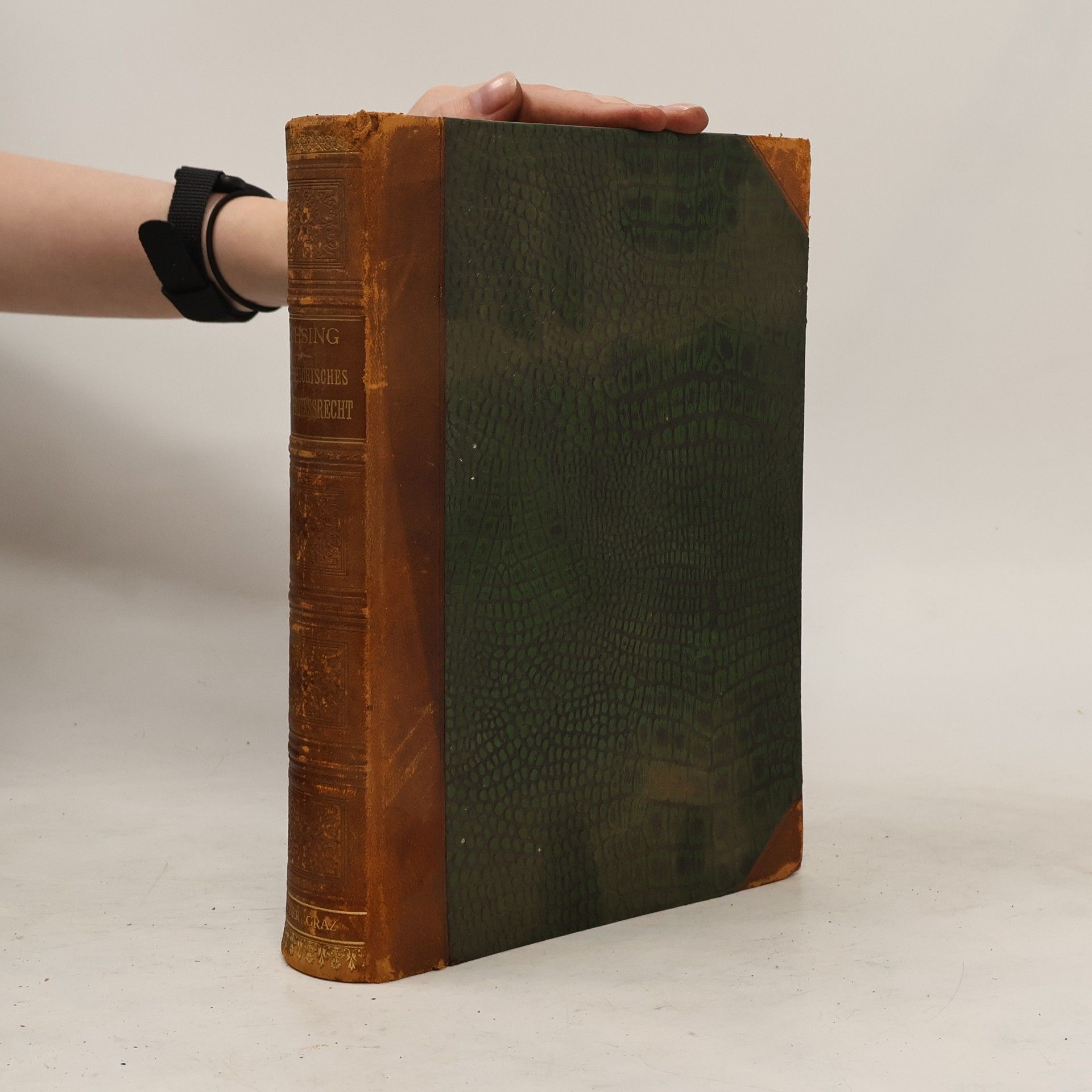 Ernst Lohsing Österreichisces Strafprozessrecht