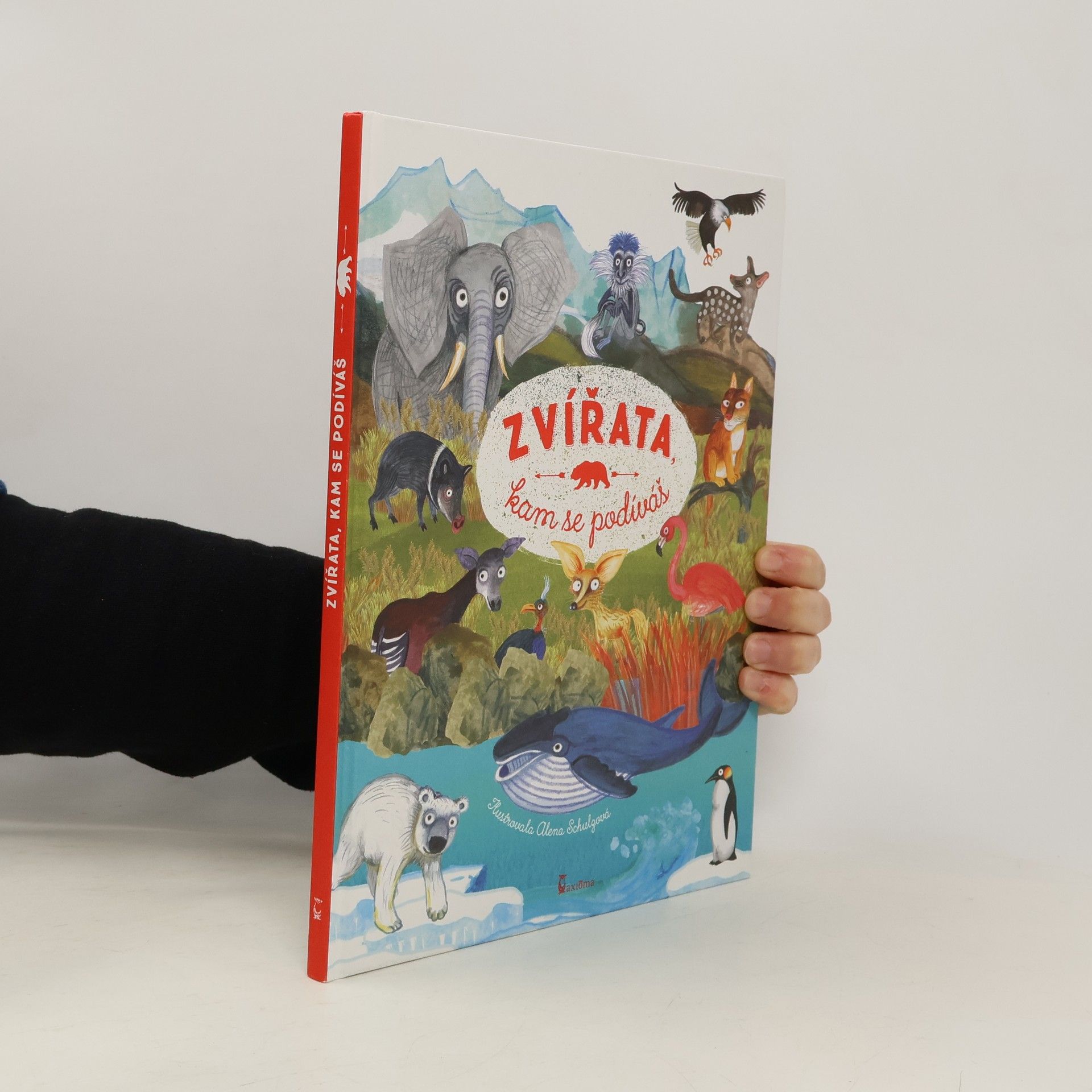 Zvířata, kam se podíváš