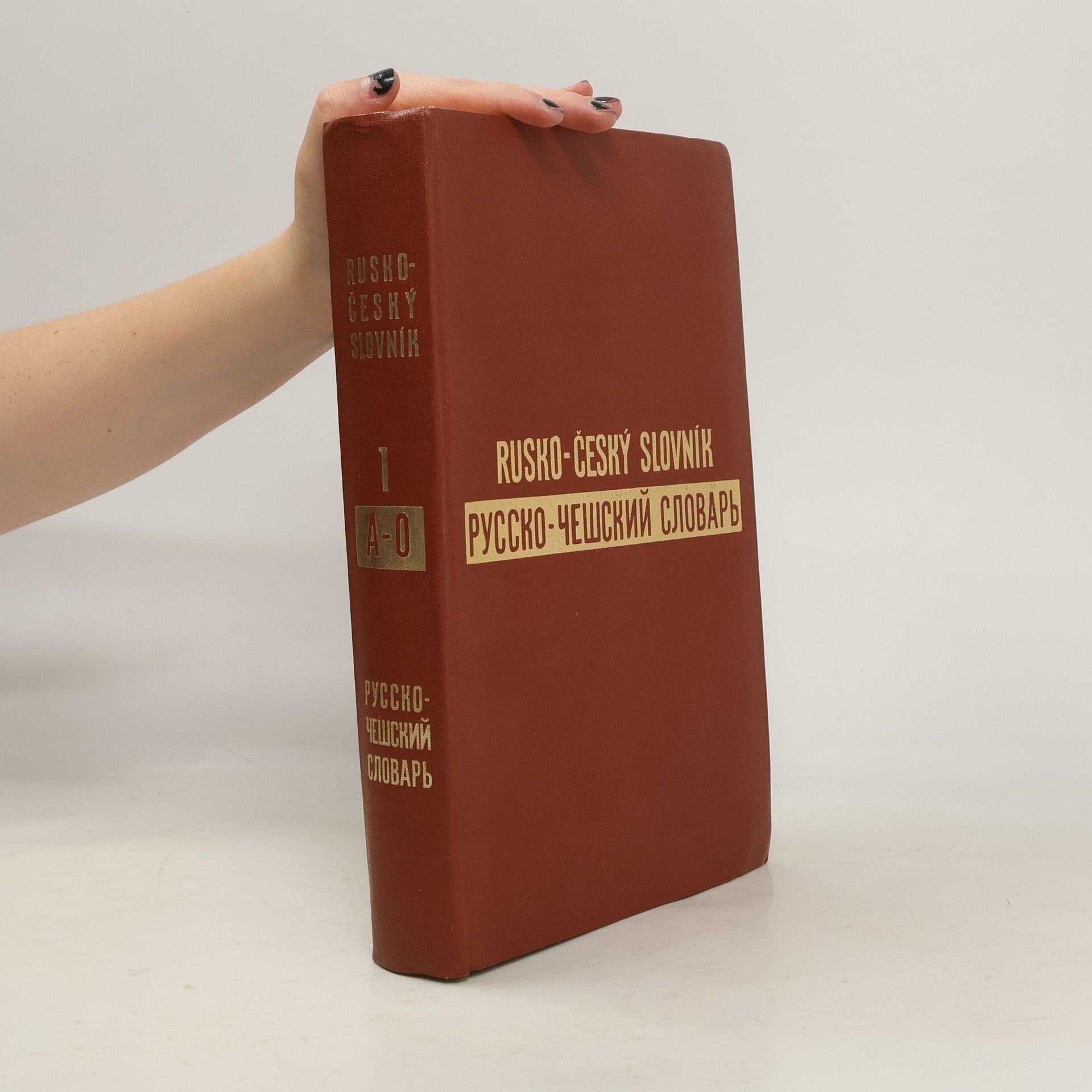 Collectif d'auteurs Rusko-český slovník A-O