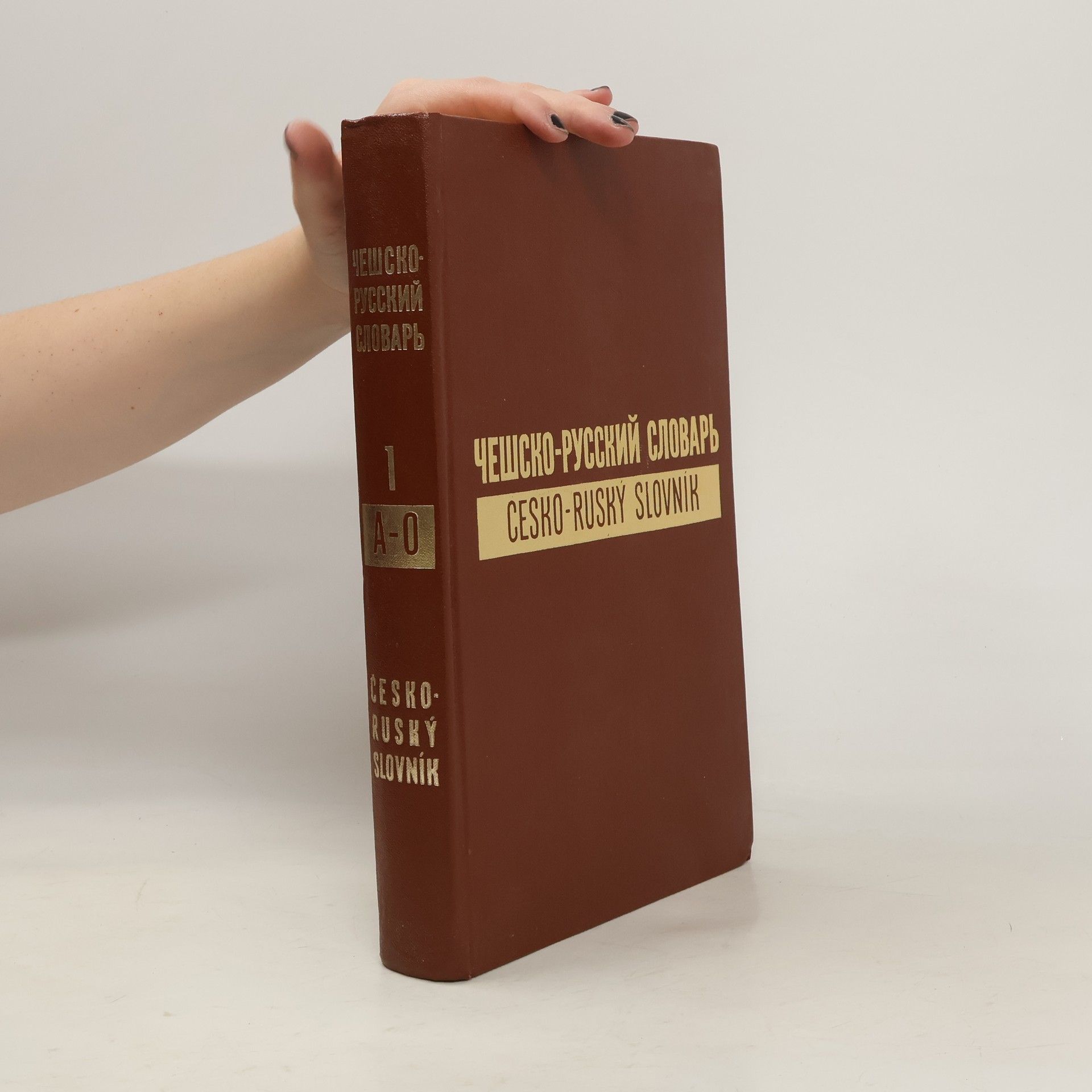 Oldřich Leška Чешско-русский словарь 1-2. Cheshsko-russkij slovar 1-2. Česko-ruský slovník 1-2