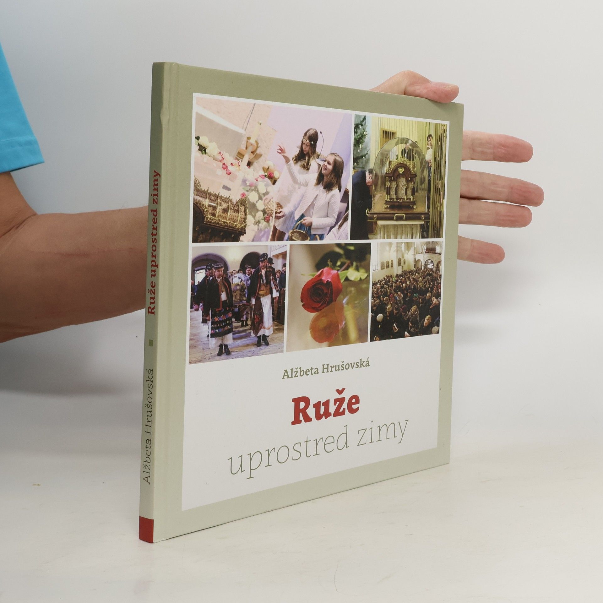 Alžbeta Hrušovská Ruže uprostred zimy
