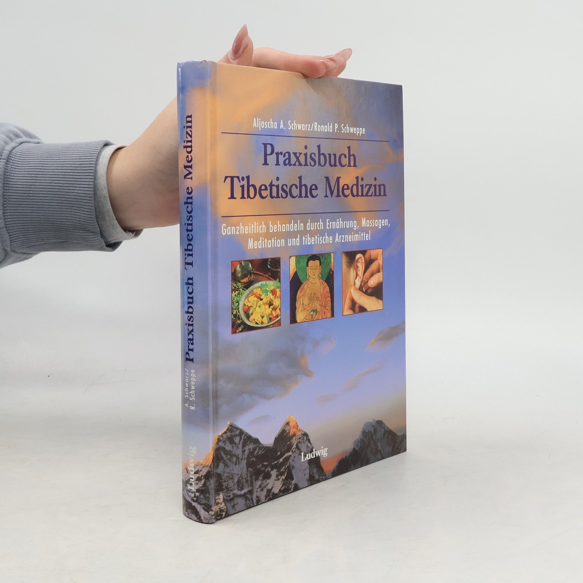 Aljoscha Long Praxisbuch tibetische Medizin