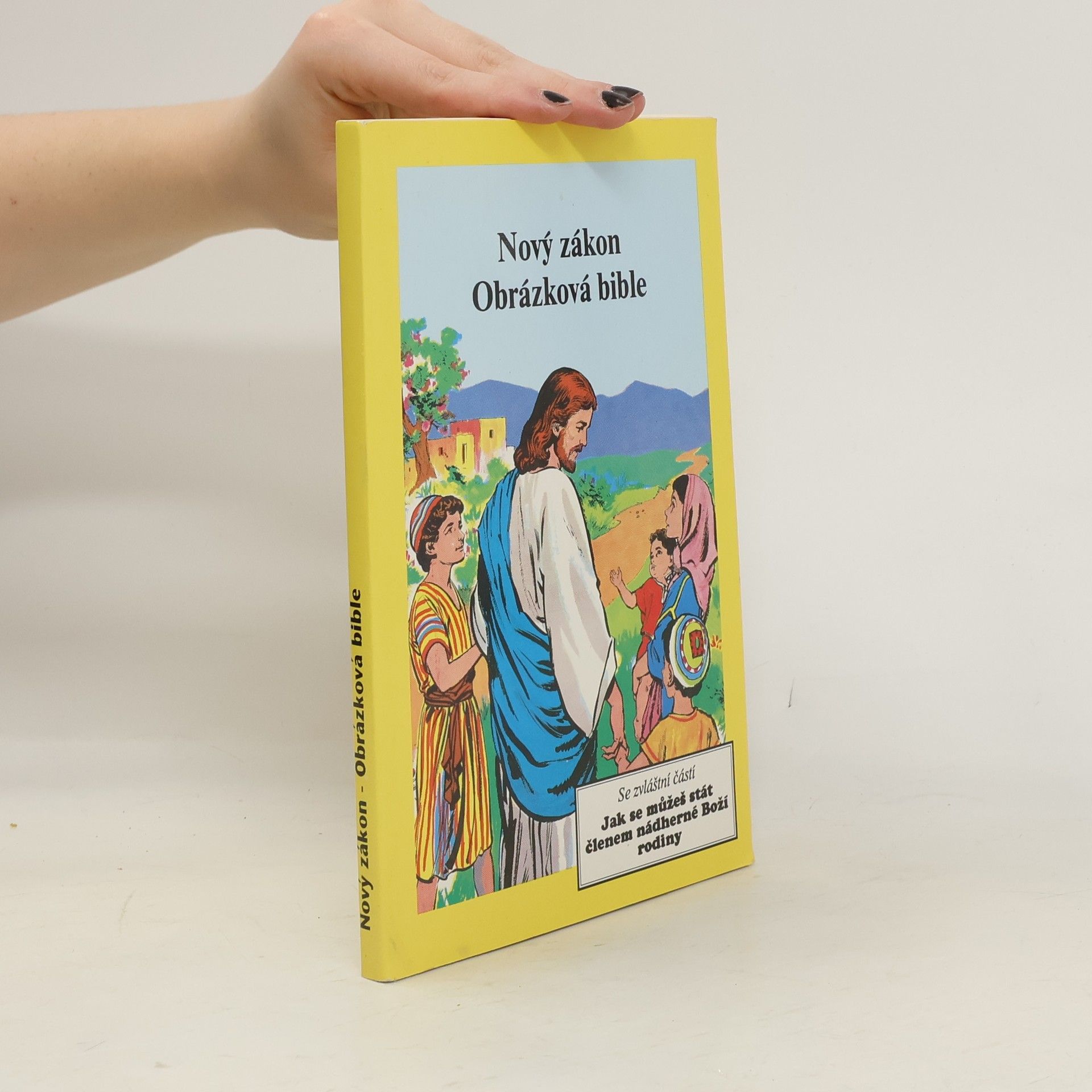 David Cook Nový zákon. Obrázková bible