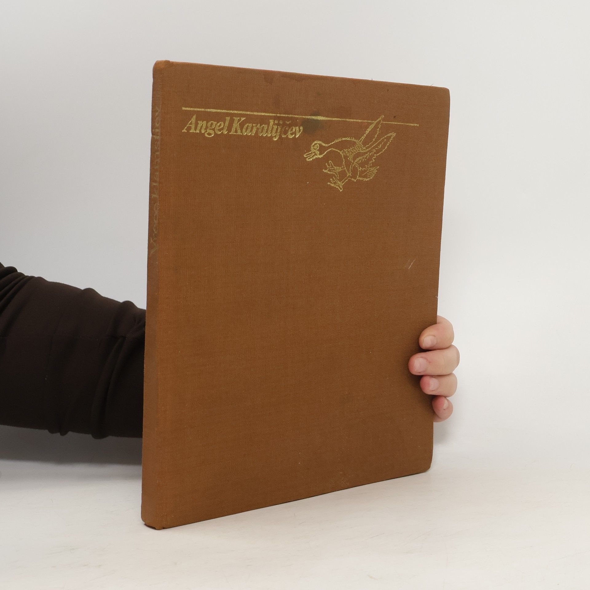 Karalijčev Angel Vrece klamstiev