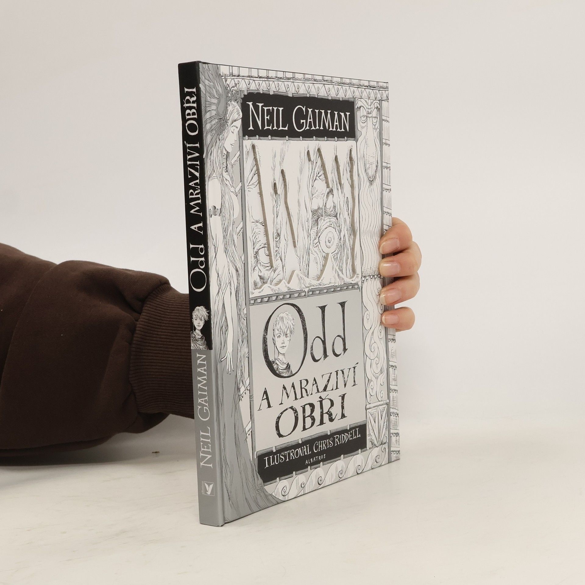 Neil Gaiman Odd a mraziví obři