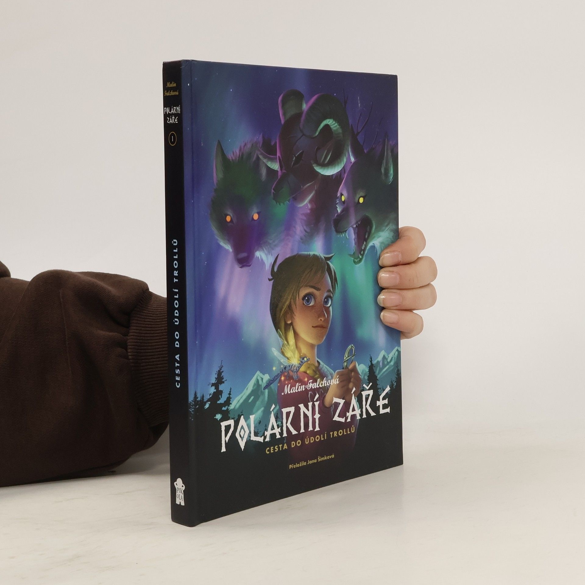 Malin Falch Polární záře. Cesta do Údolí trollů
