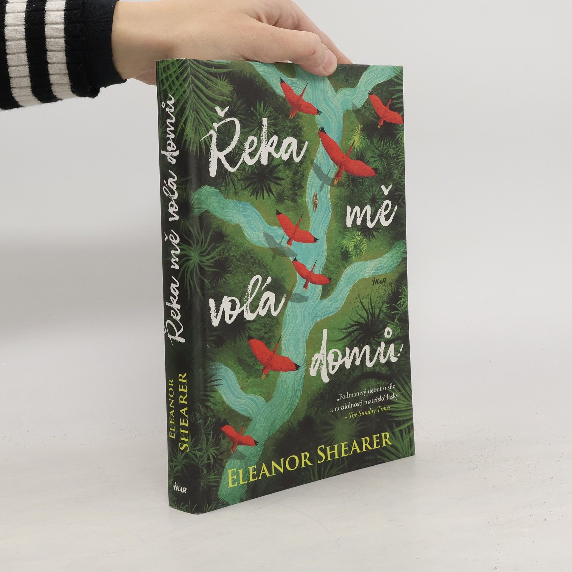 Petra Diestlerová Řeka mě volá domů