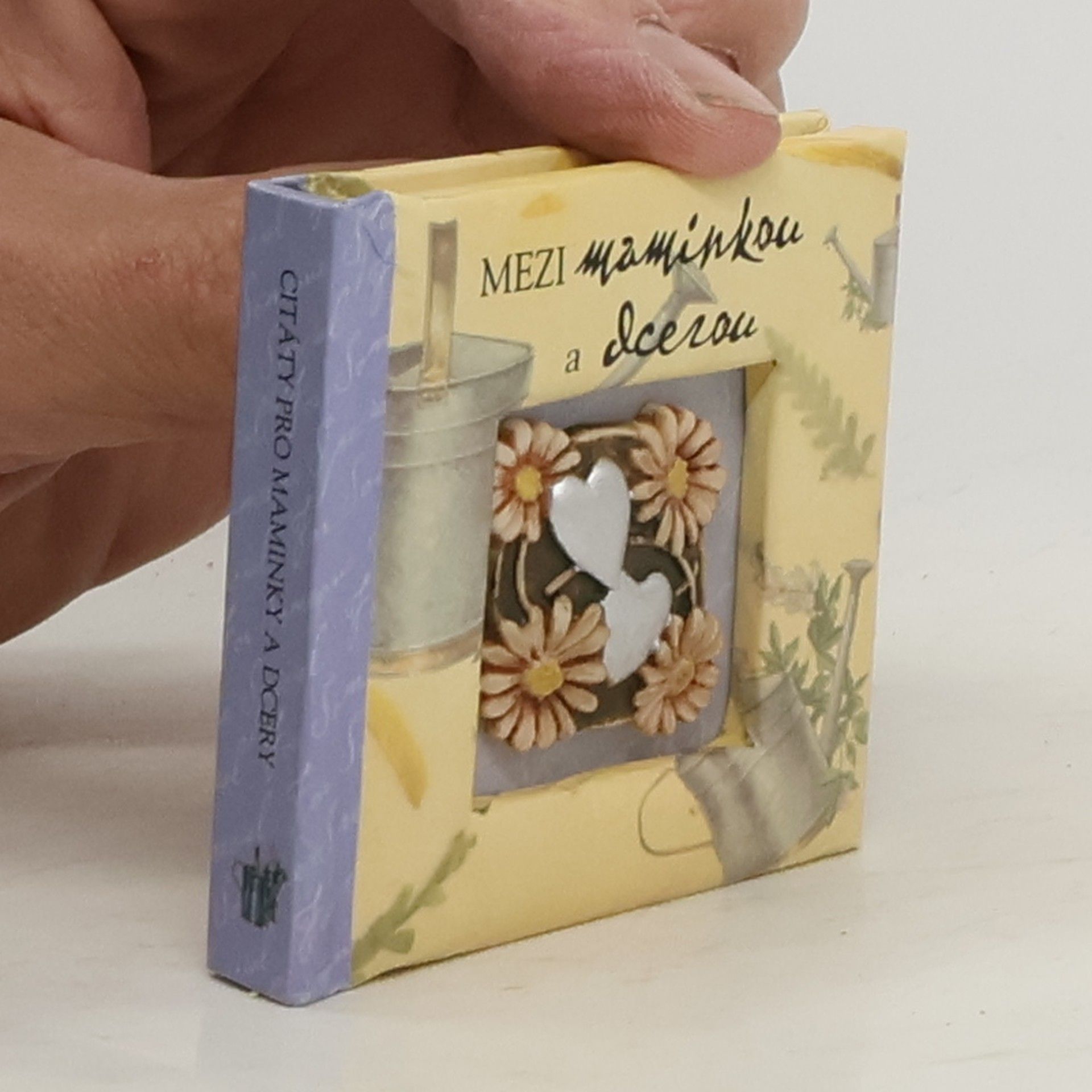 Kolektív autorov Mezi maminkou a dcerou