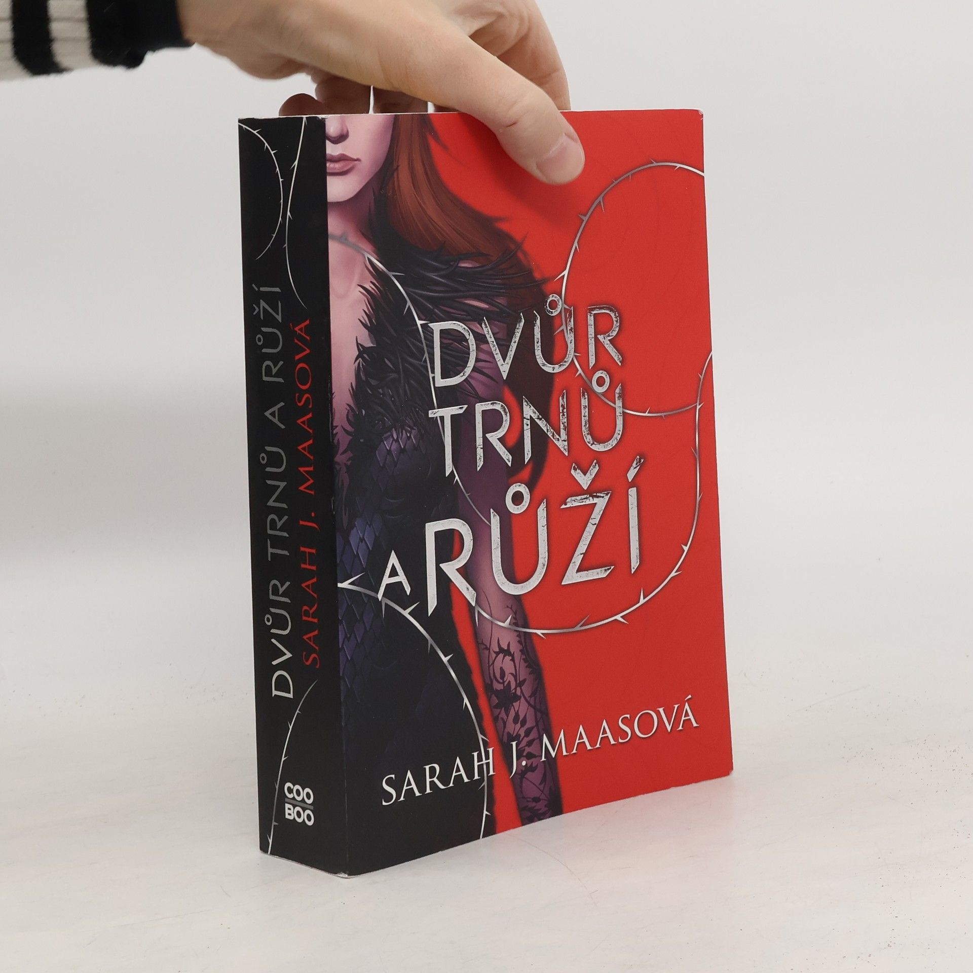 Sarah J. Maas Dvůr trnů a růží