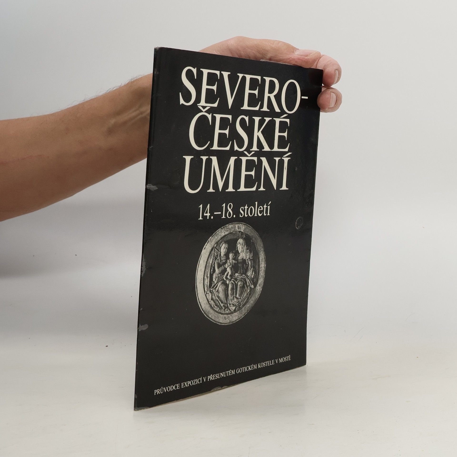 Kolektiv autorů Severočeské umění 14. - 18. století