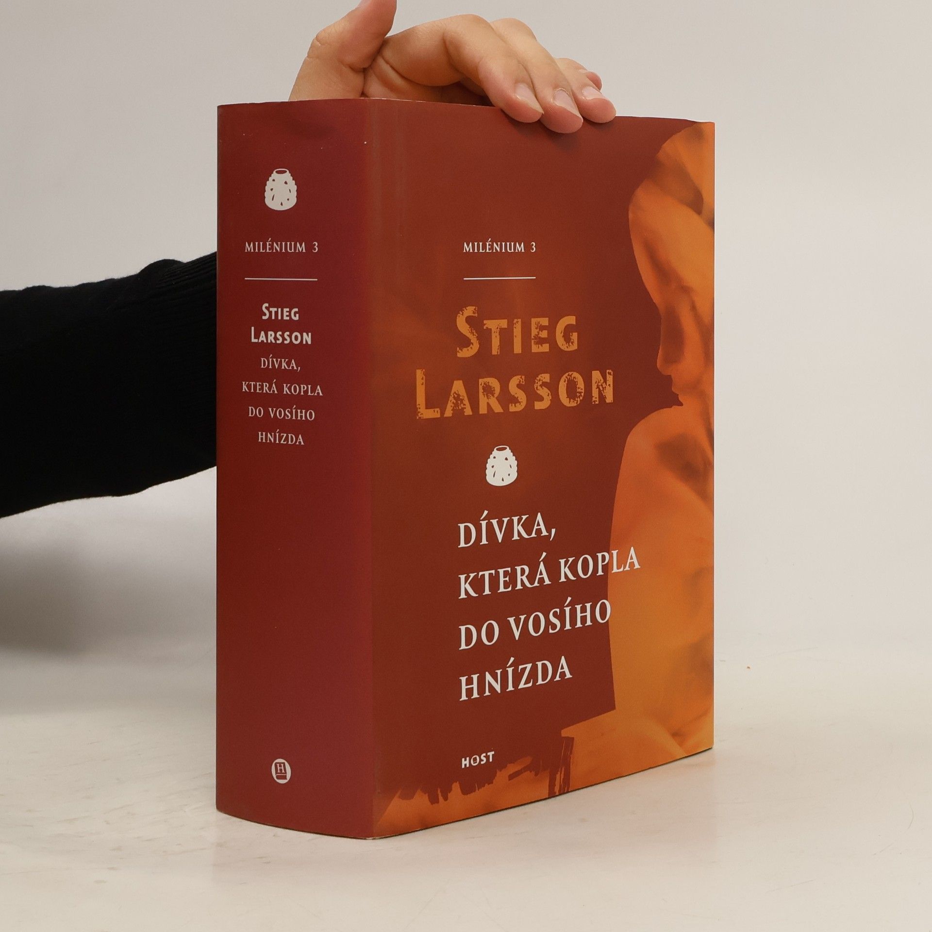 Stieg Larsson Dívka, která kopla do vosího hnízda