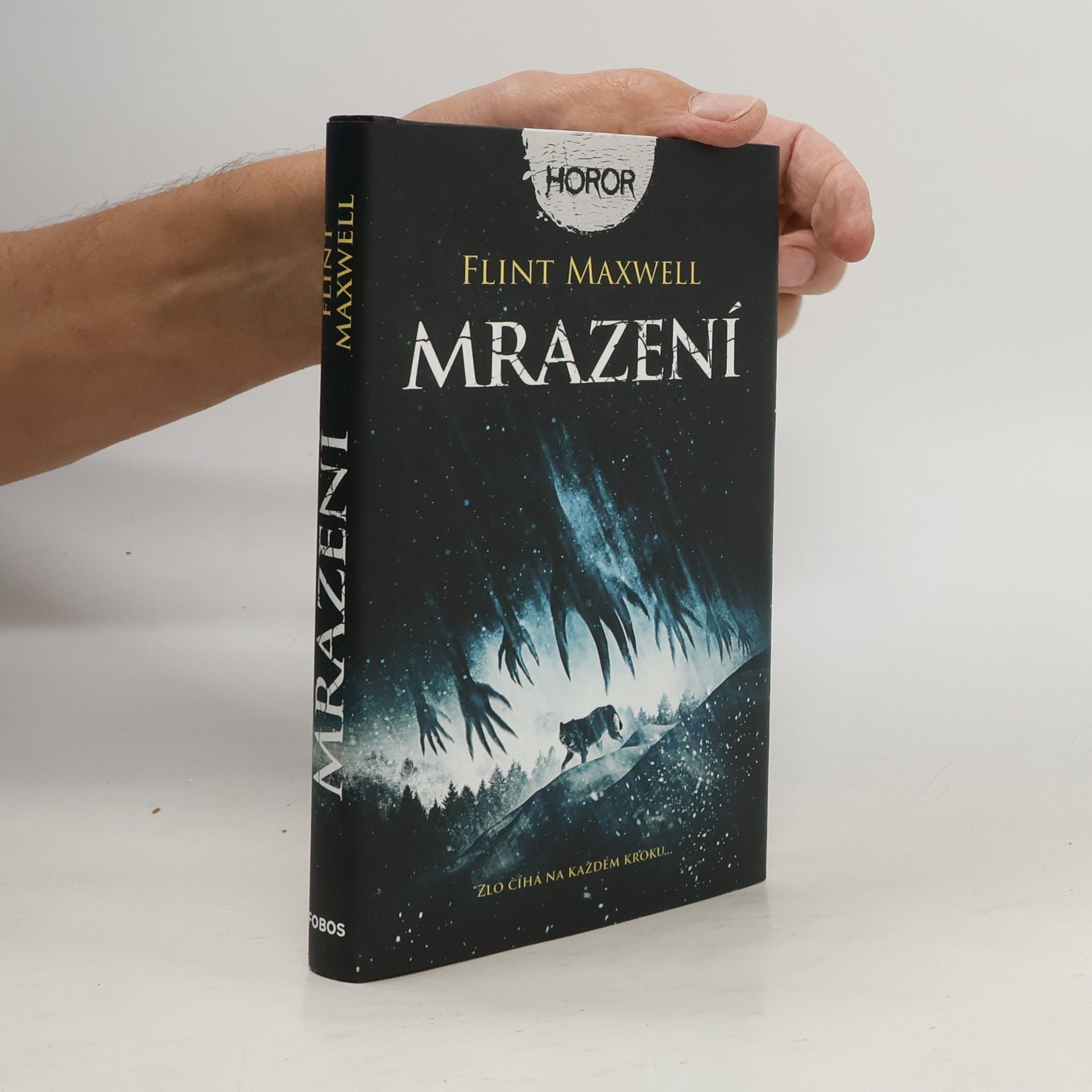 Flint Maxwell Mrazení