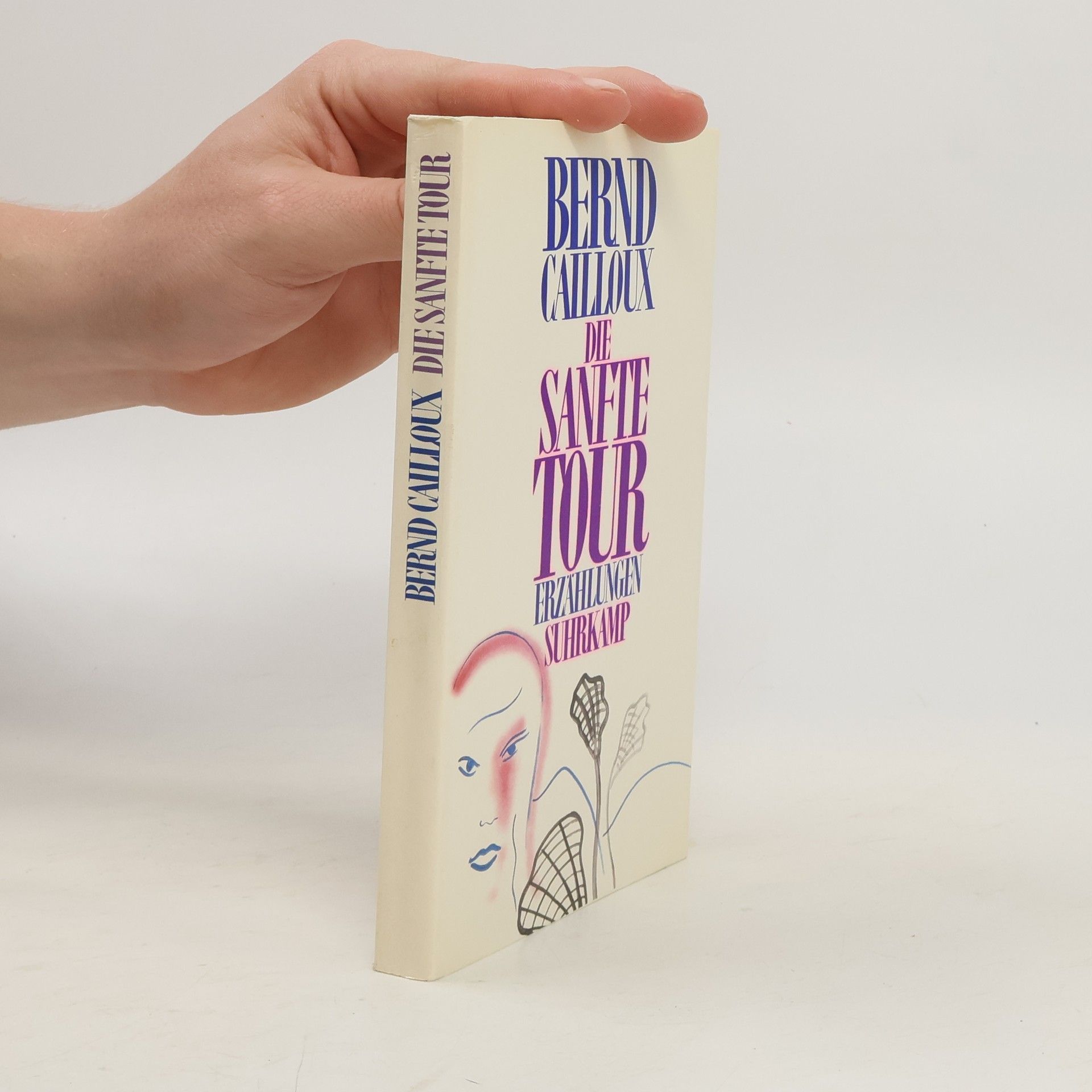 Bernd Calloux Die Sanfte Tour