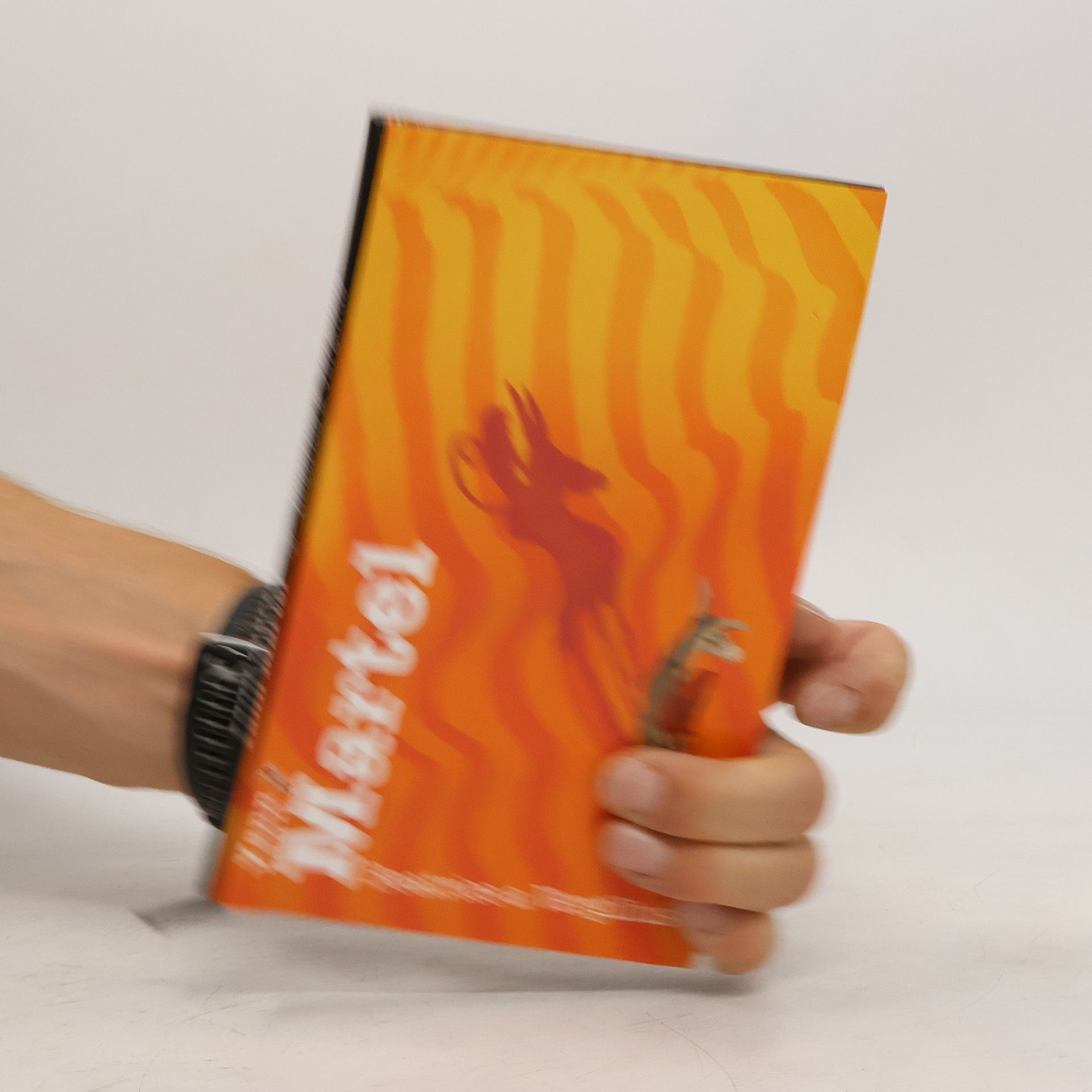 Yann Martel Beatrice a Vergilius