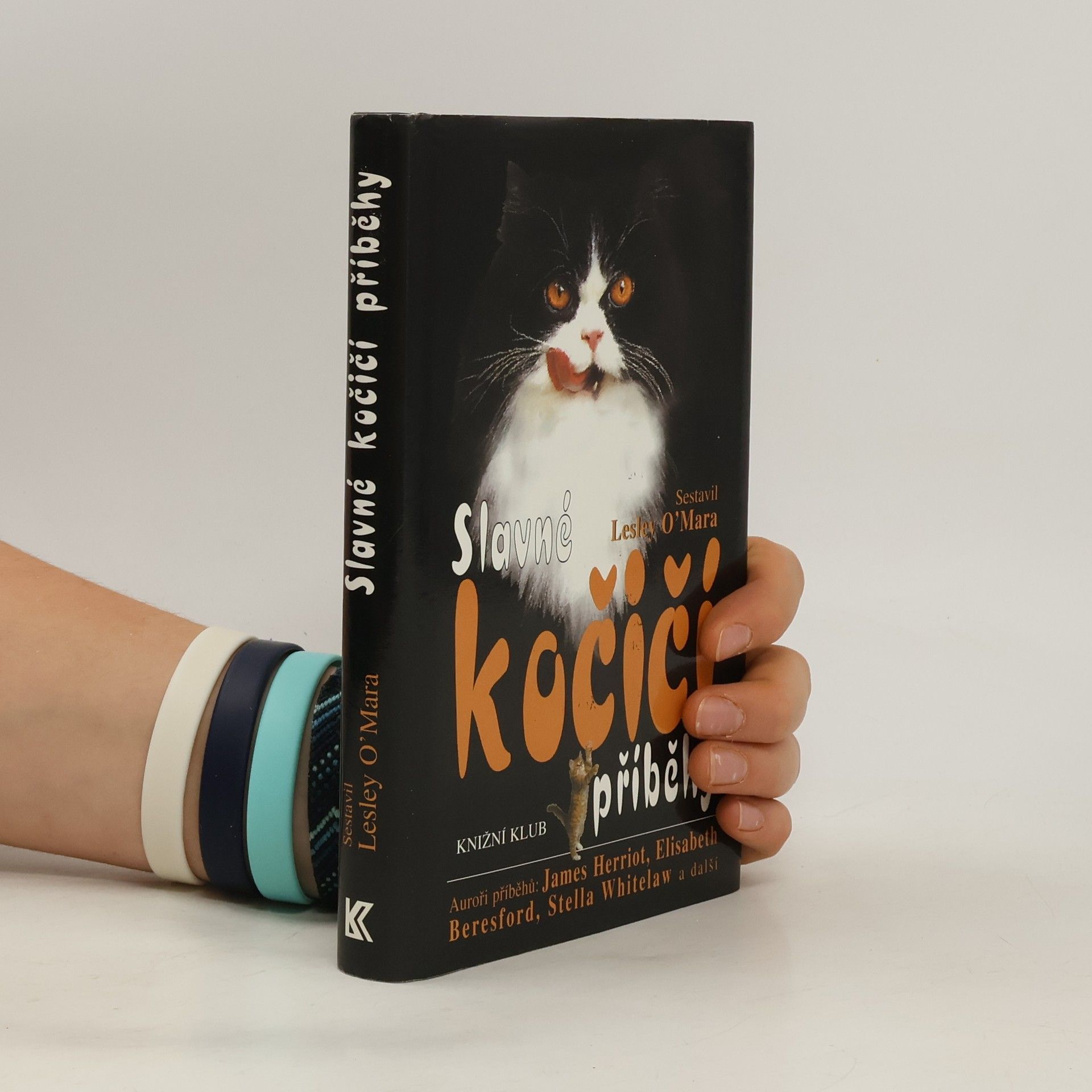 Lesley OMara Slavné kočičí příběhy