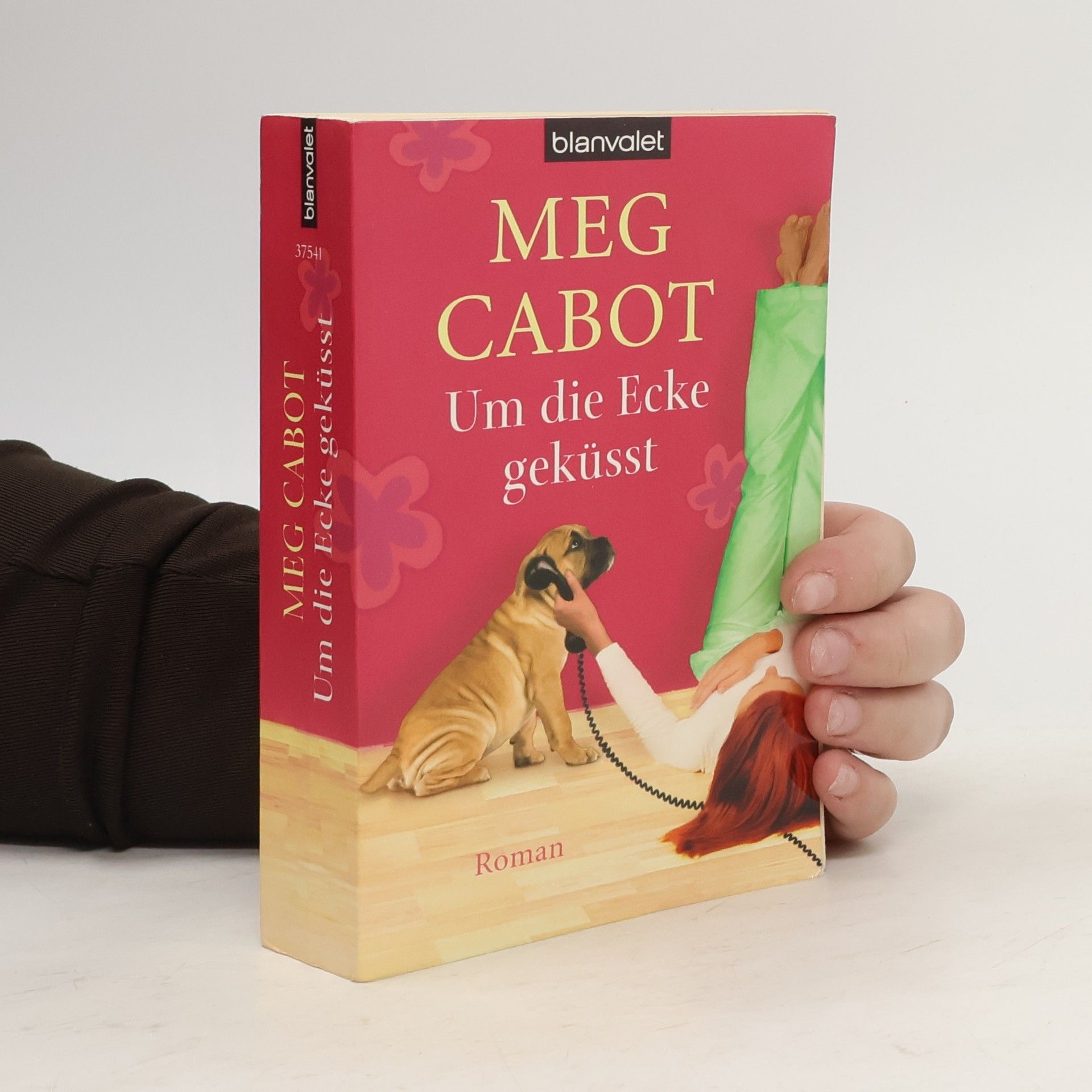 Meg Cabot Um die Ecke geküsst