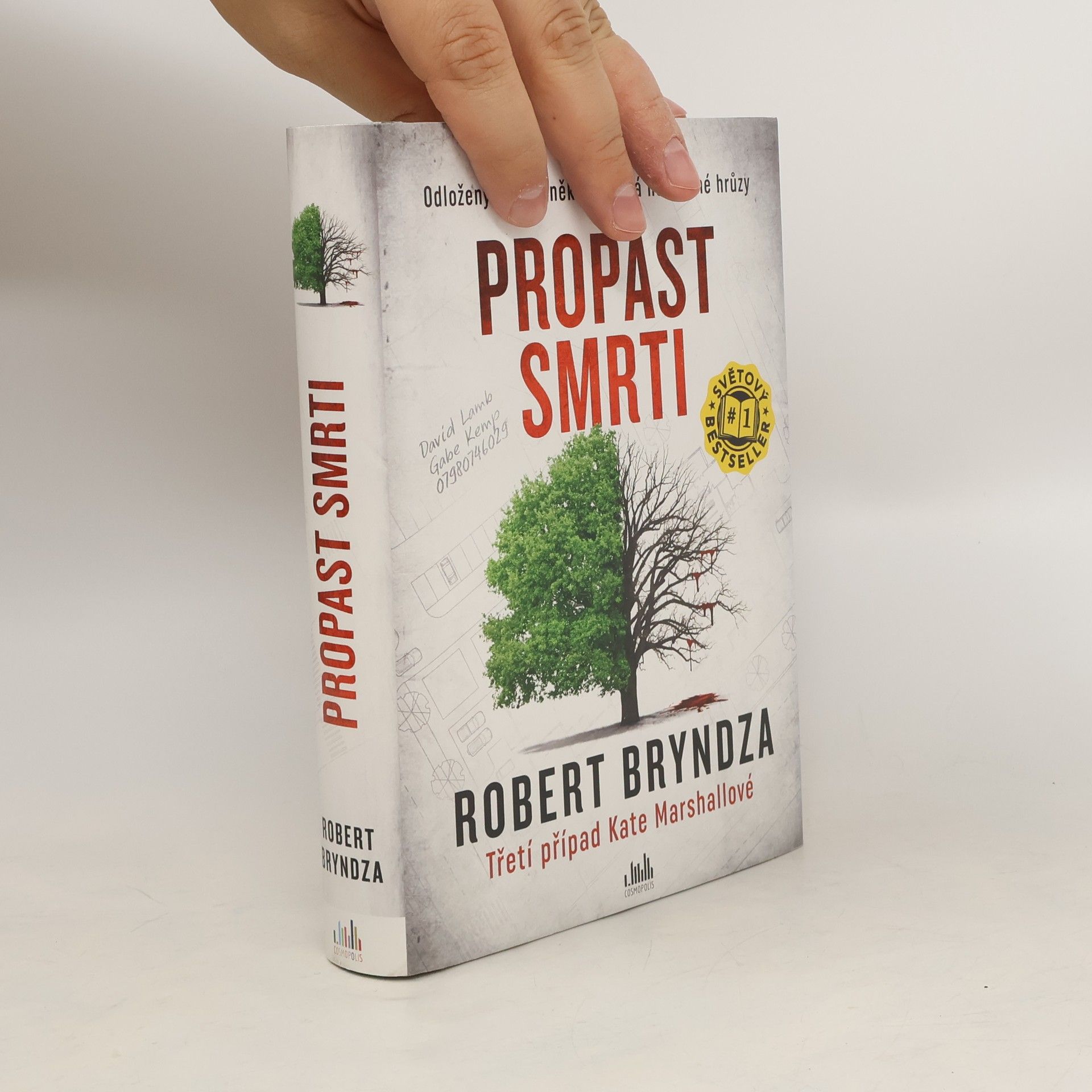 Robert Bryndza Propast smrti