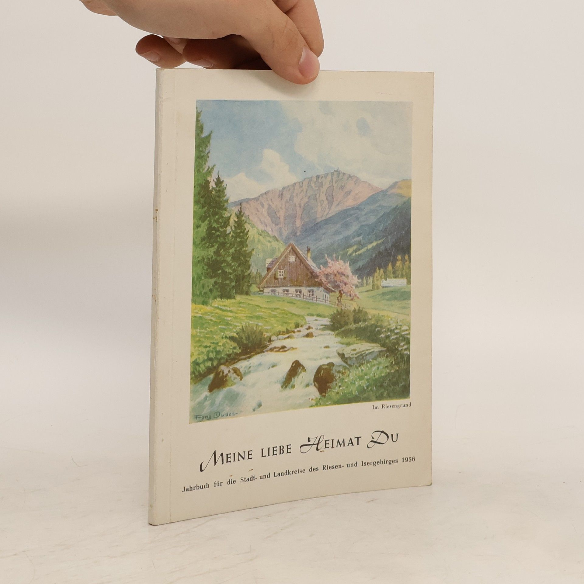 AA.VV. Meine Liebe heimat Du