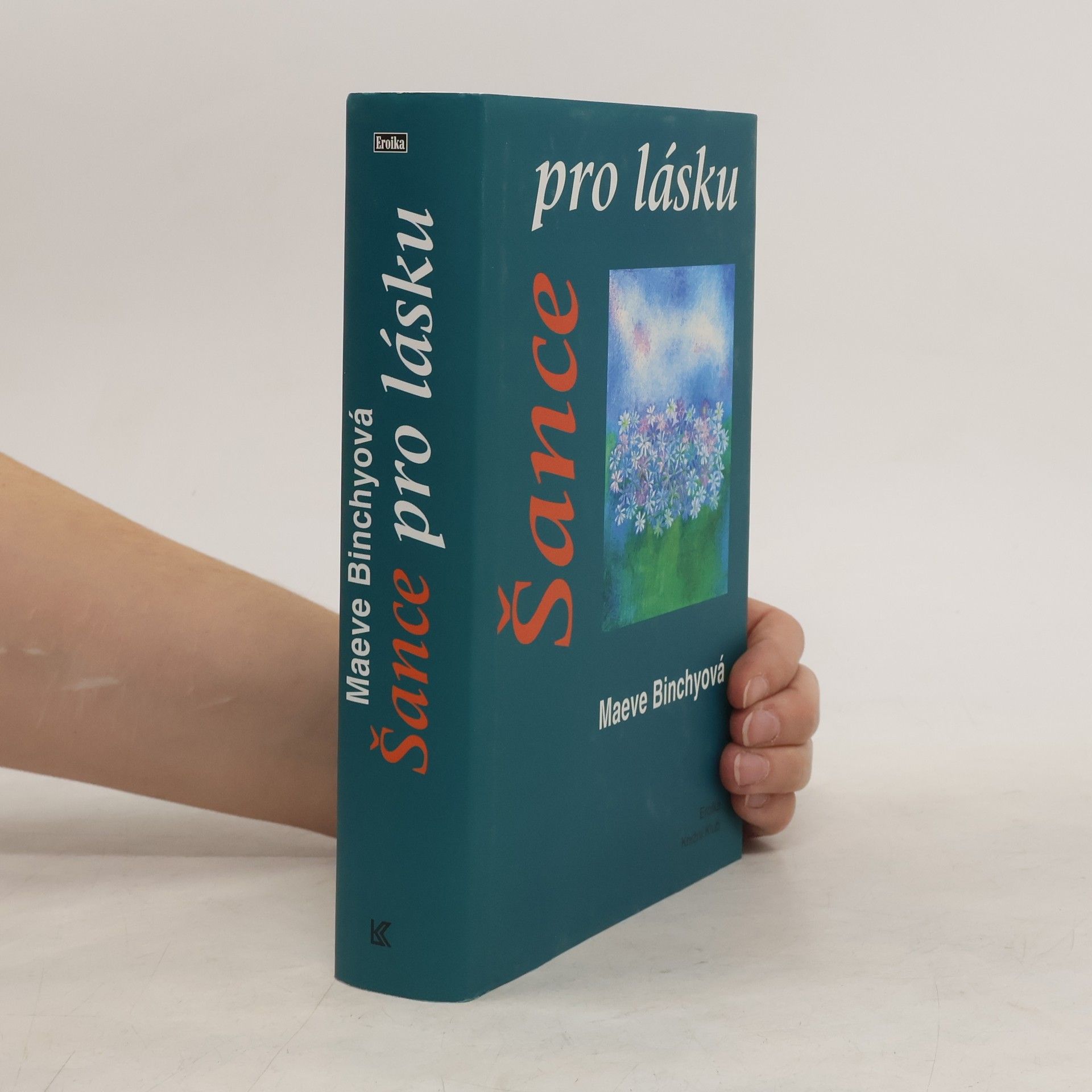 Maeve Binchy Šance pro lásku