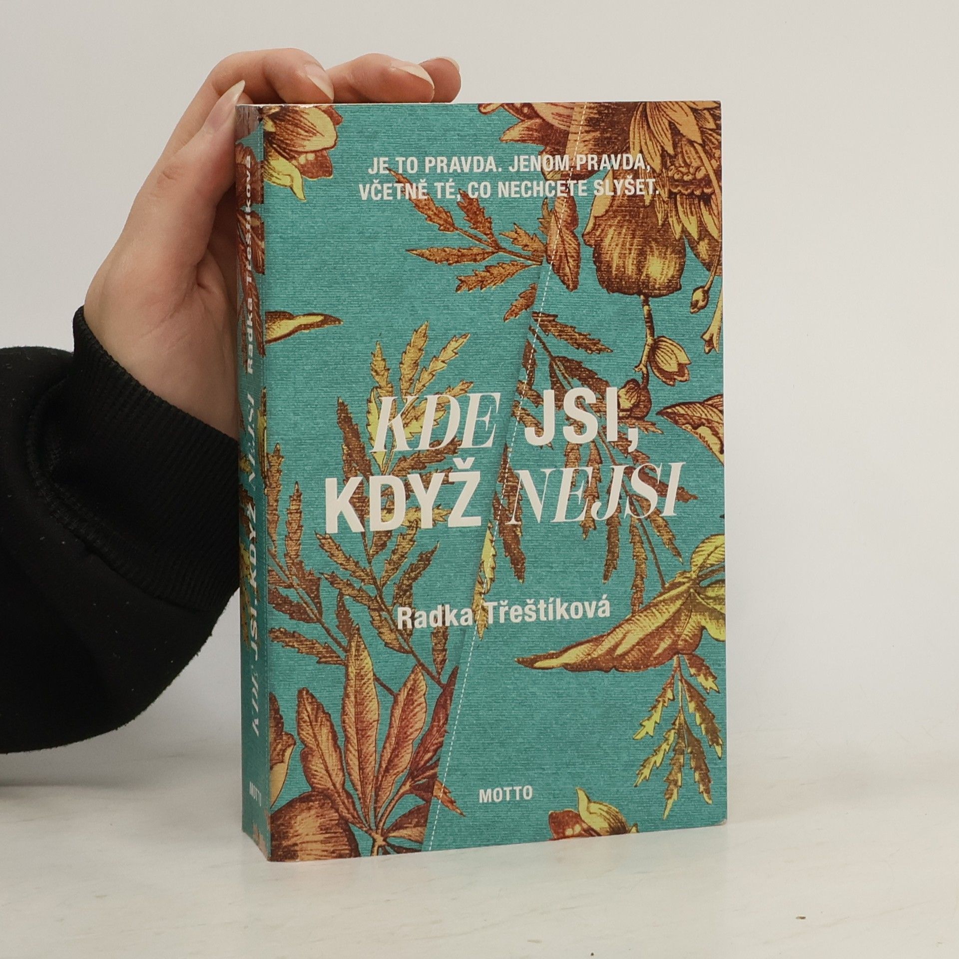 Radka Třeštíková Kde jsi, když nejsi