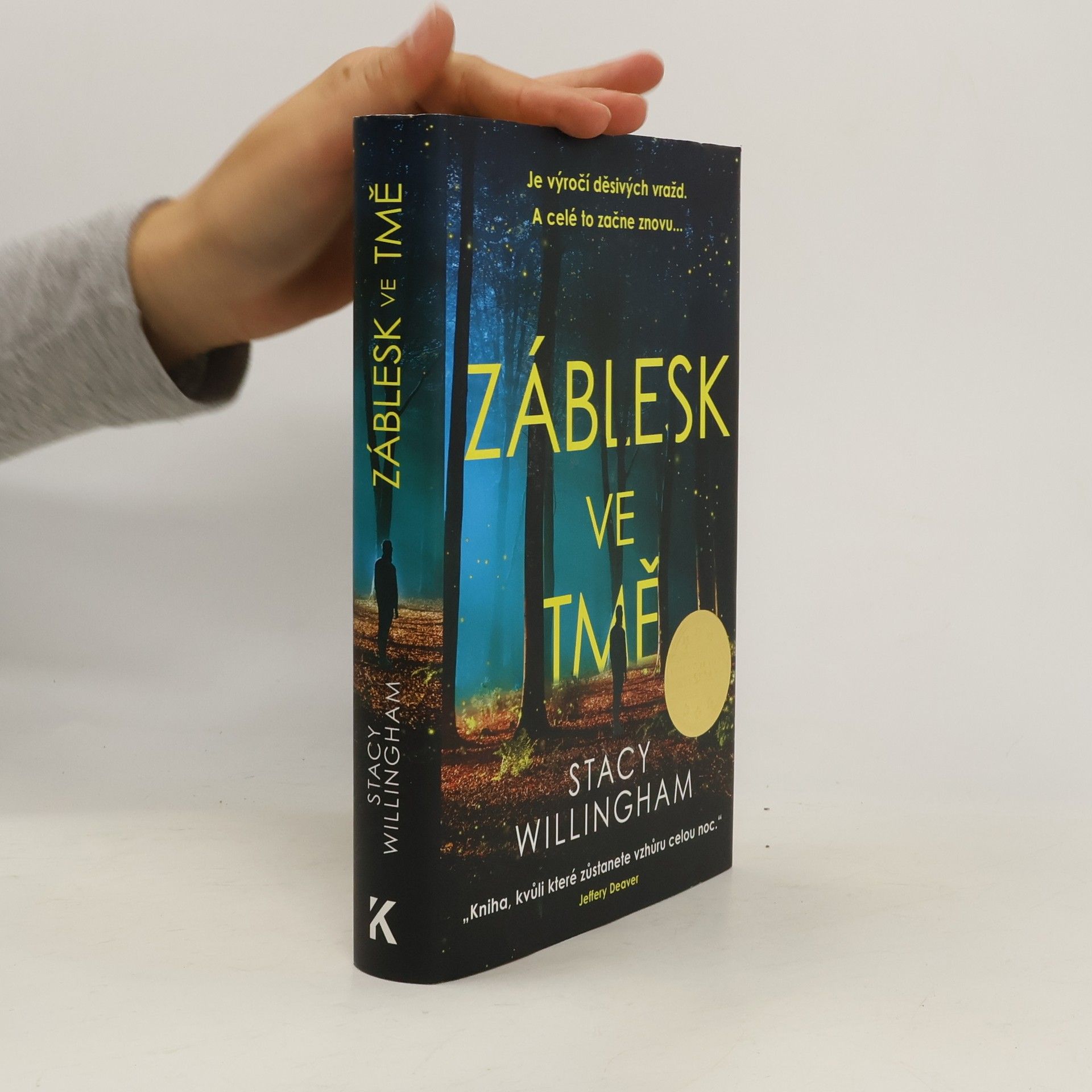 Stacy Willingham Záblesk ve tmě