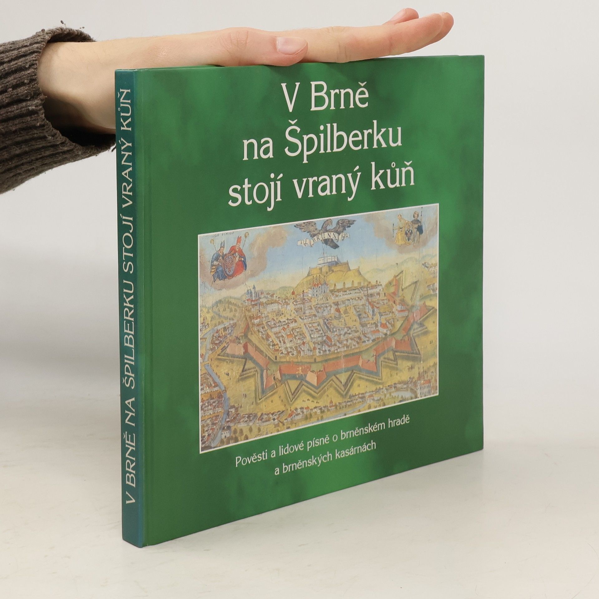 Jana Svodobová V Brně na Špilberku stojí vraný kůň