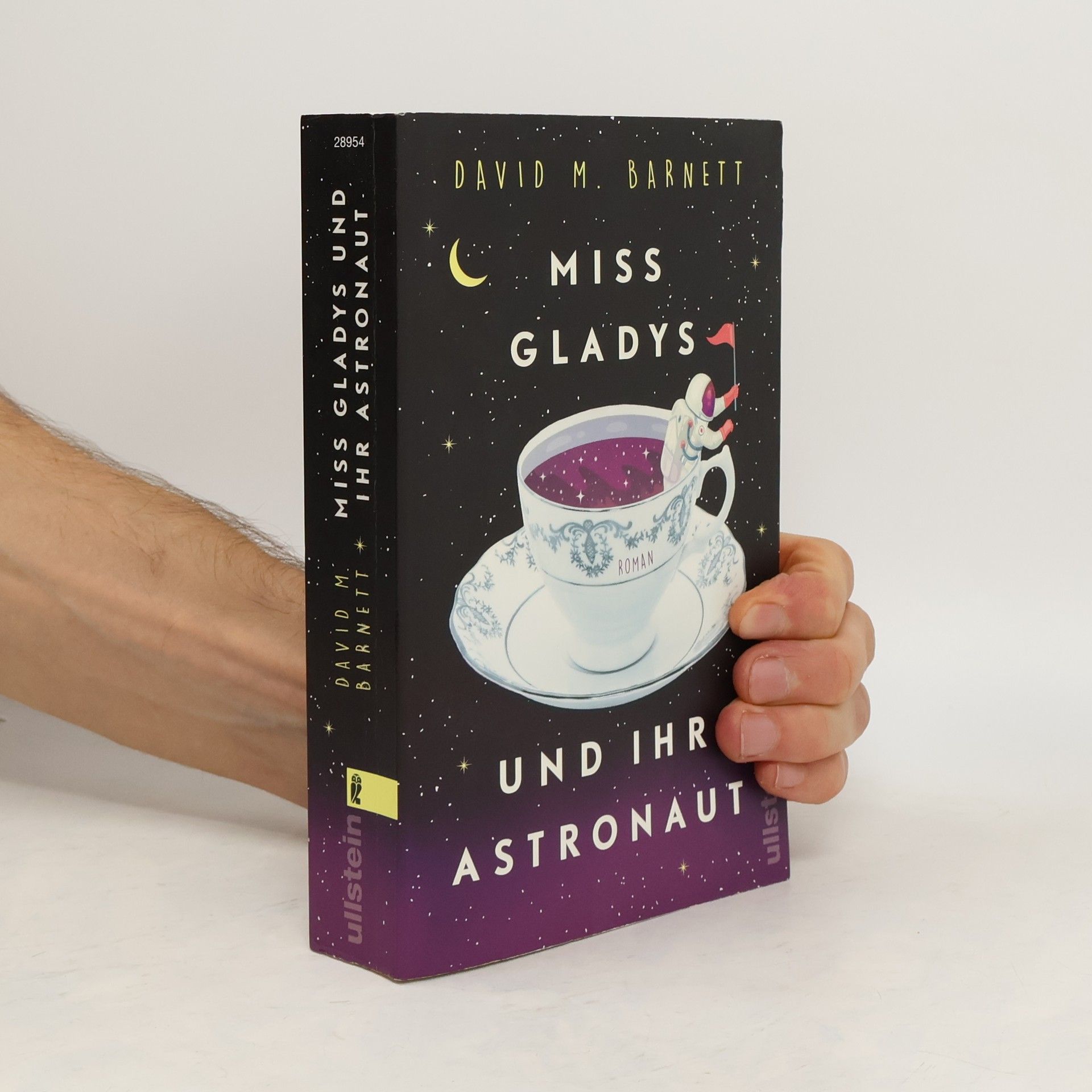 David Barnett Miss Gladys und ihr Astronaut