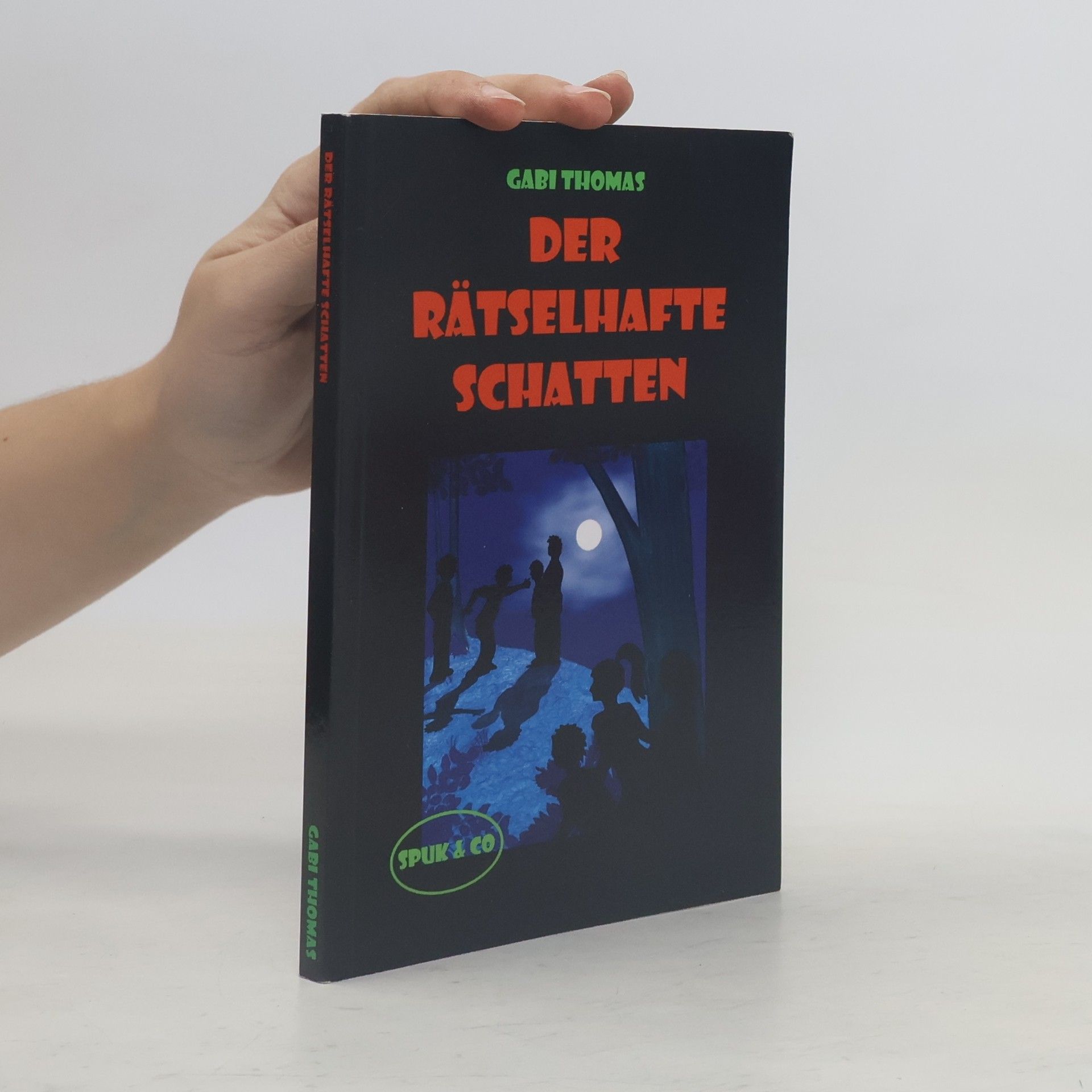 Thomas Pauli Gabi Spuk & Co: Der rätselhafte Schatten