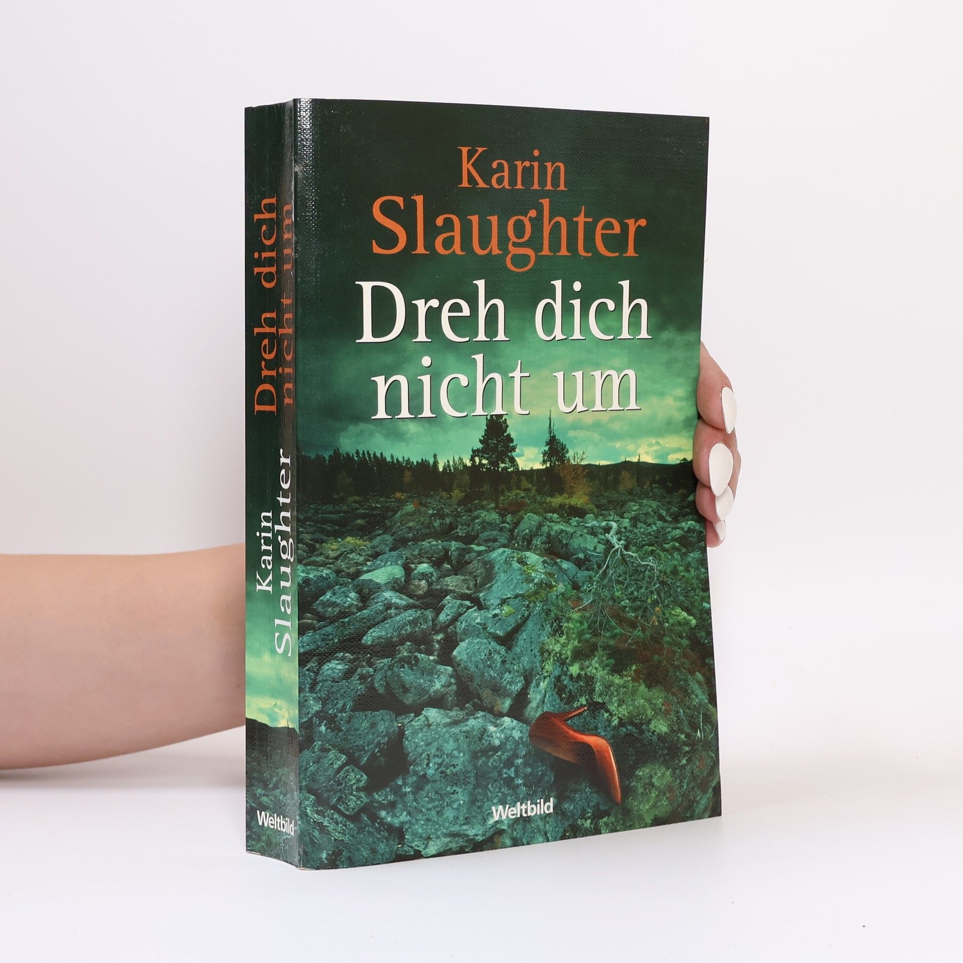 Karin Slaughter Dreh dich nicht um