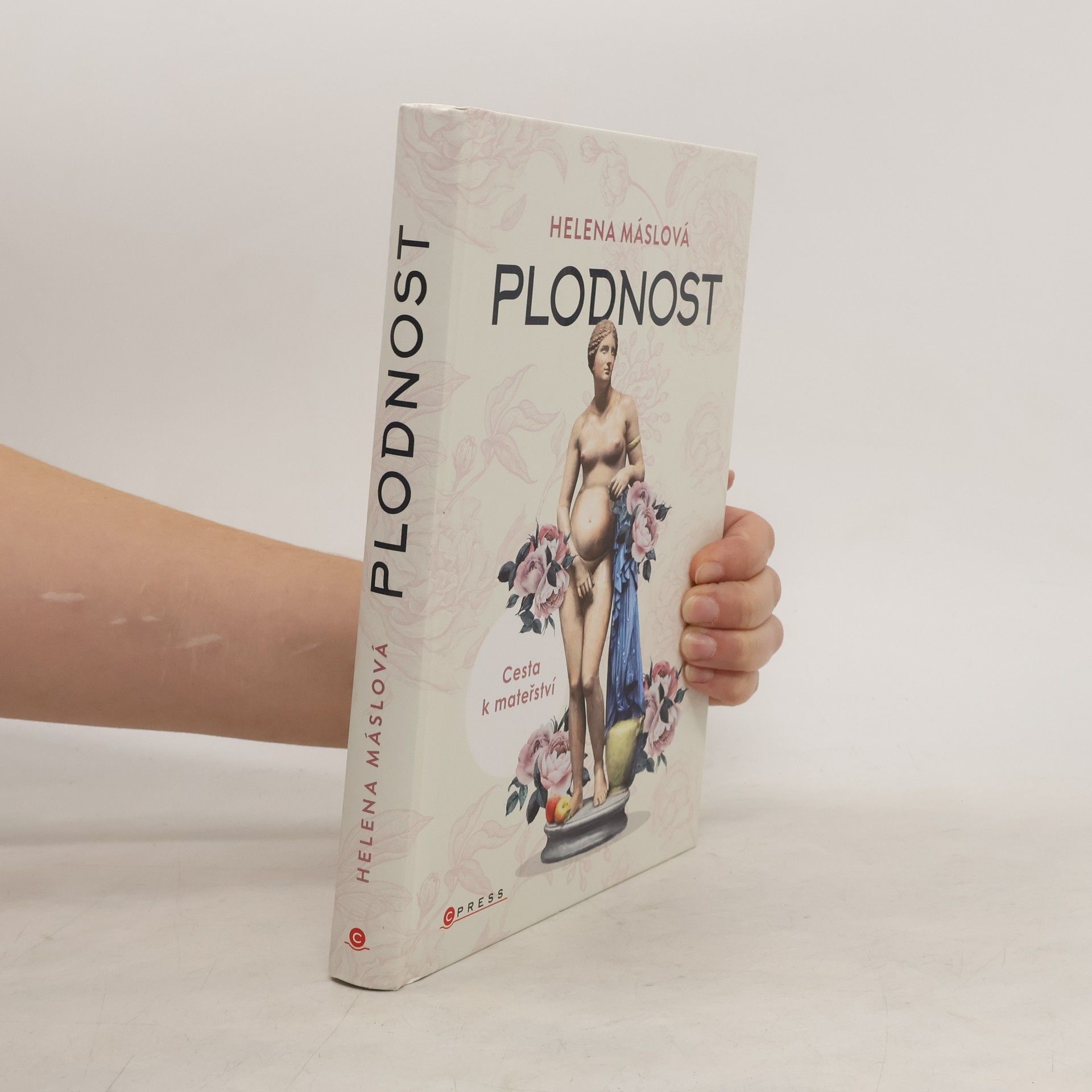 Helena Máslová Plodnost : cesta k mateřství