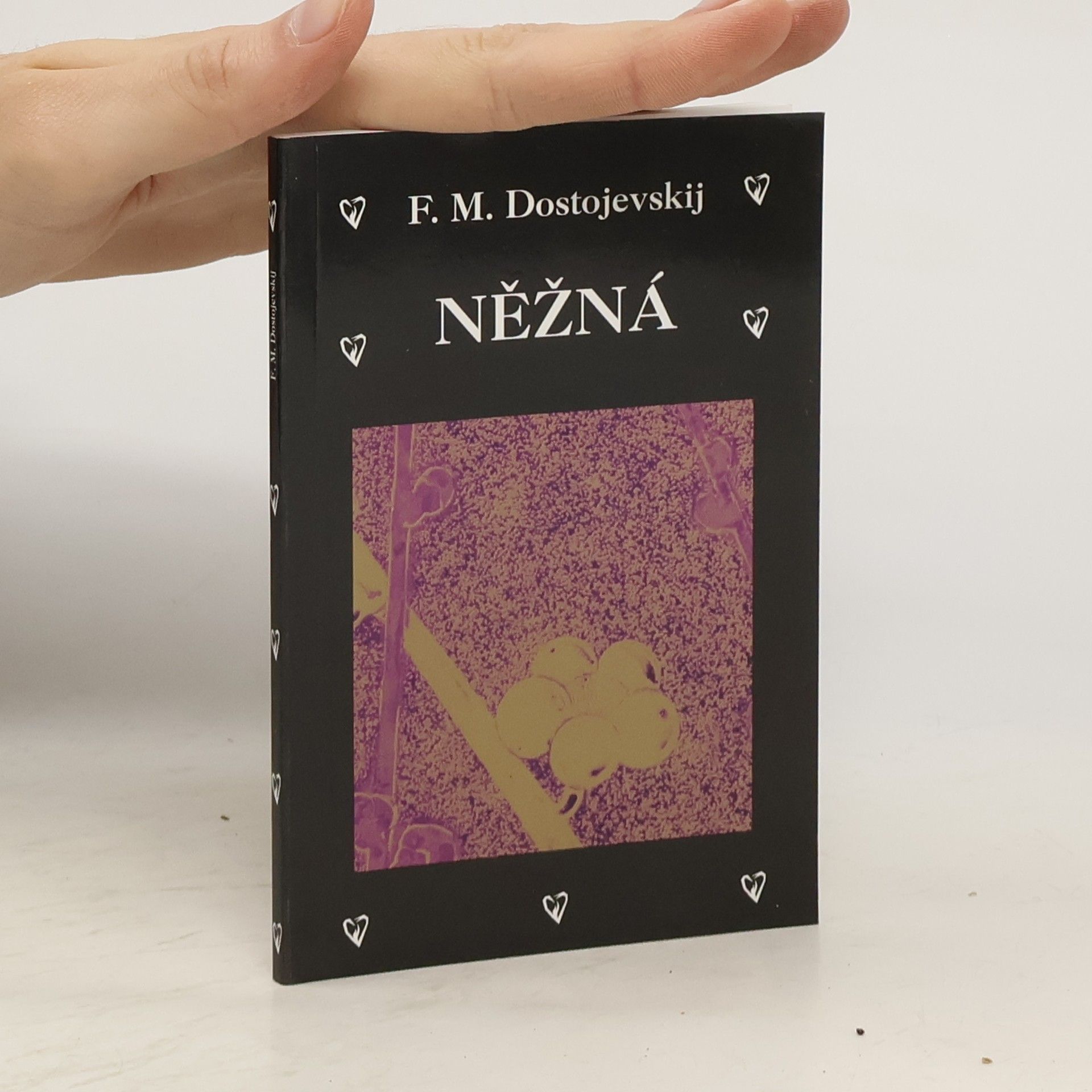 Fyodor Dostoyevsky Něžná