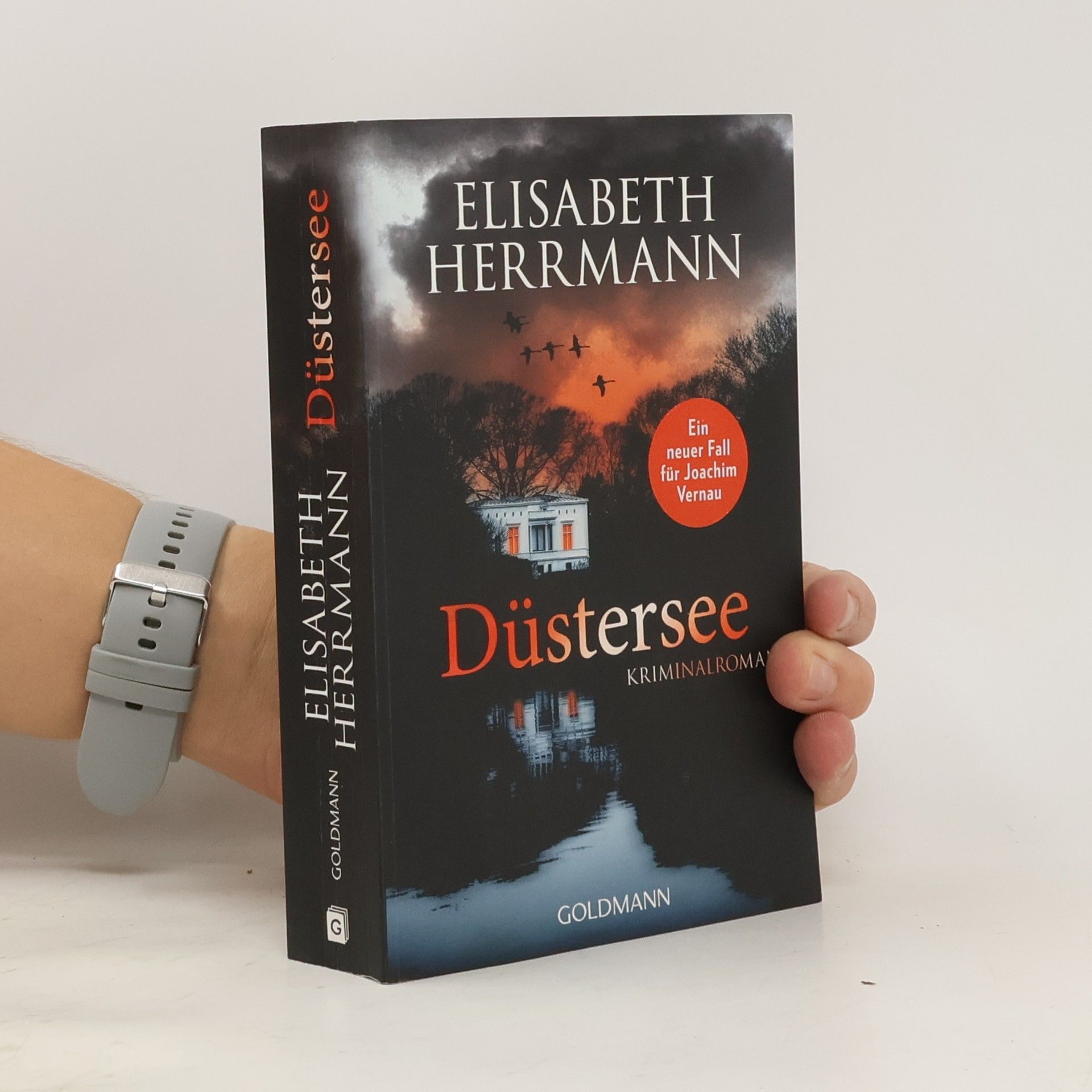 Elisabeth Hermann Düstersee