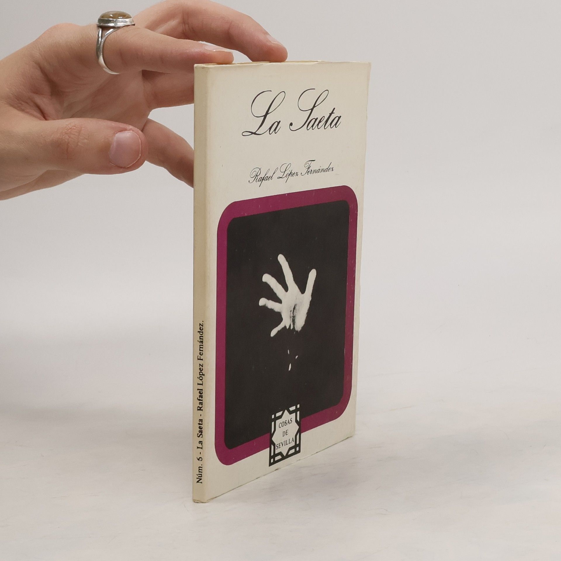 Rafael López Fernández La saeta